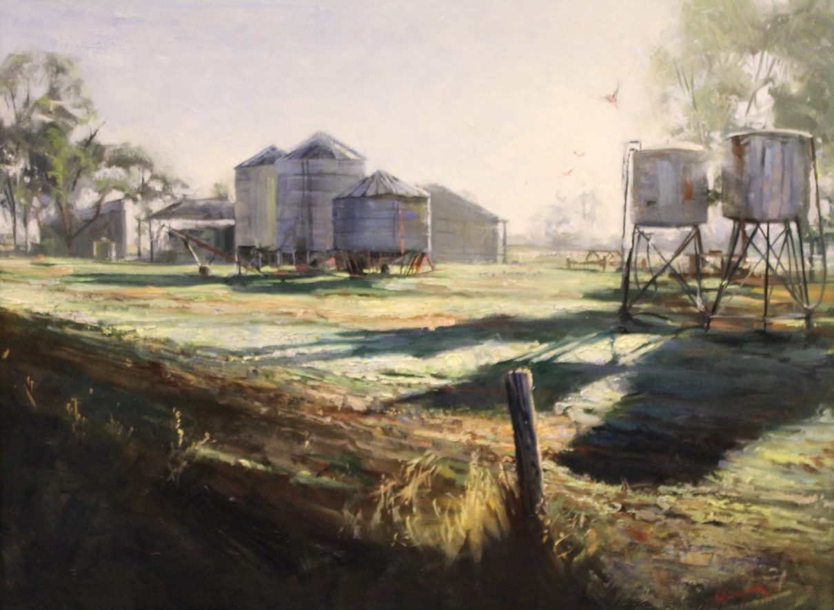 'Early Morning at Borung' by Ben Winspear, Winner 2016