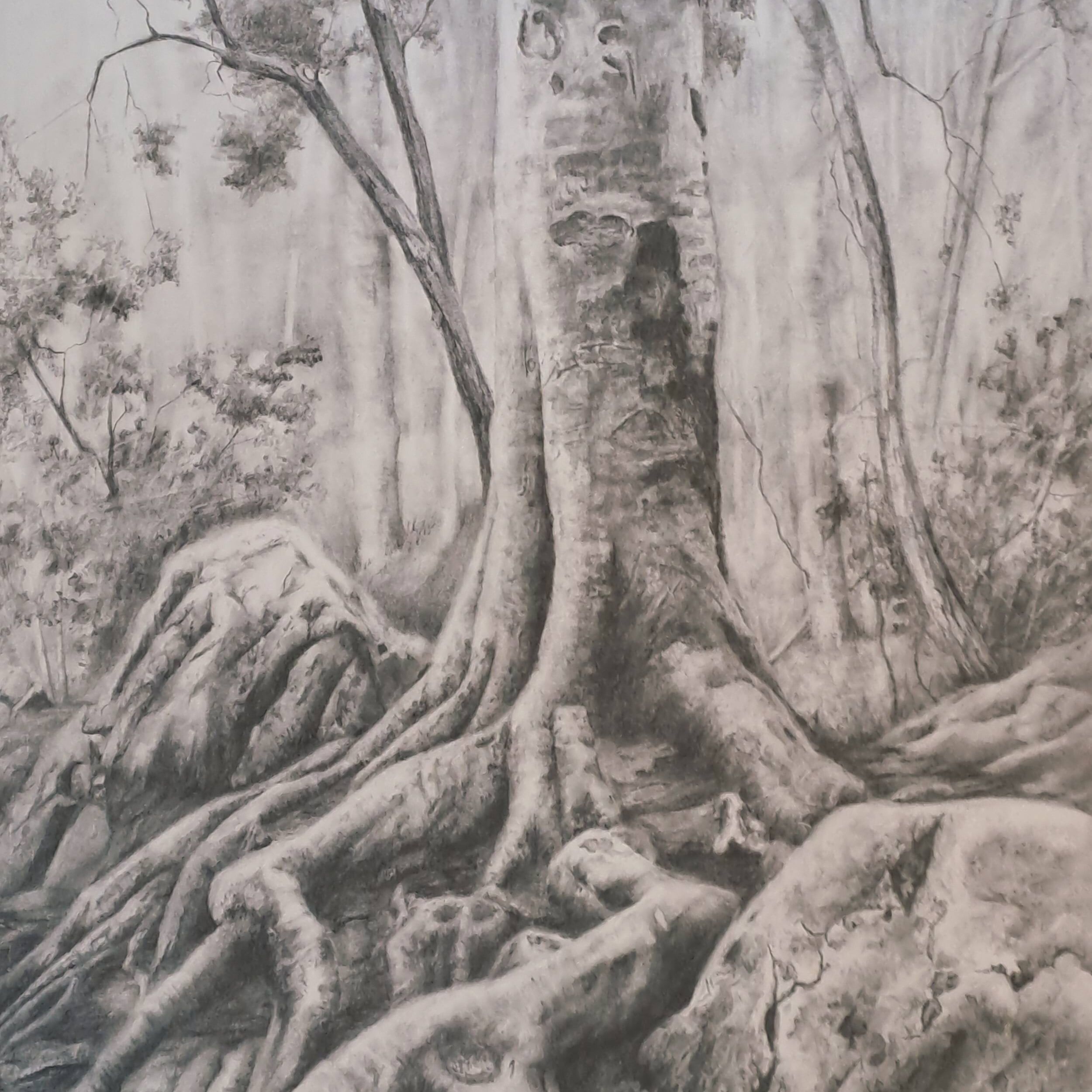 Walking Tree Standing Still.jpg