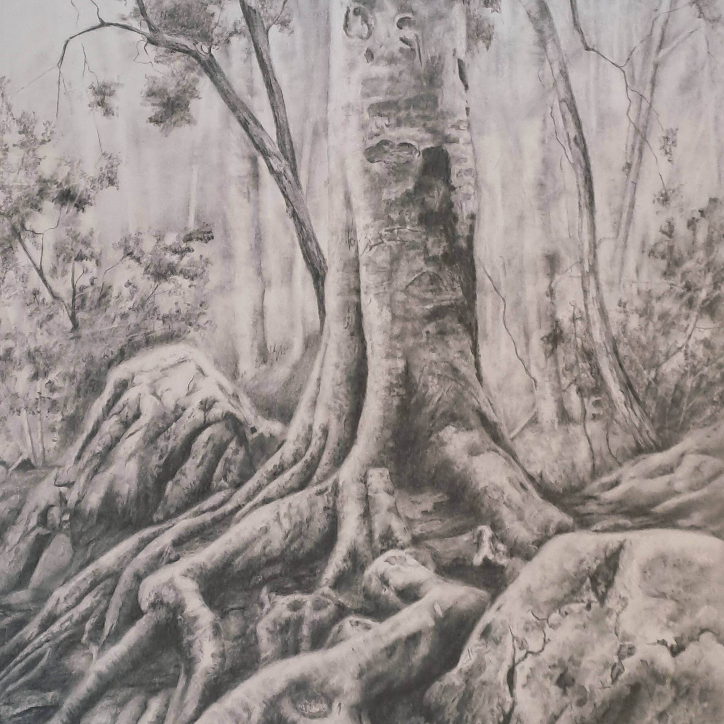 Walking Tree Standing Still.jpg