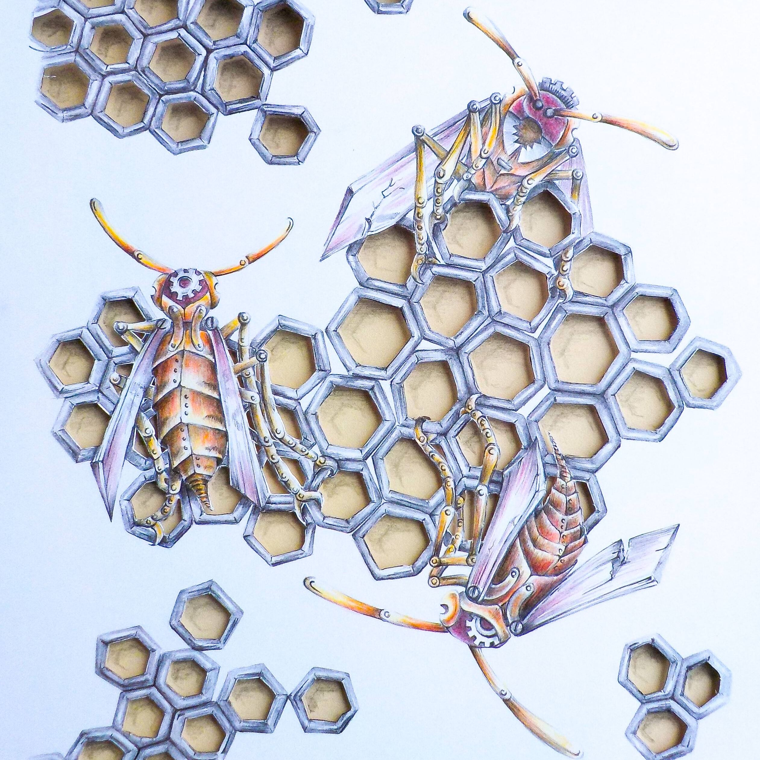 PaperWasps.jpg