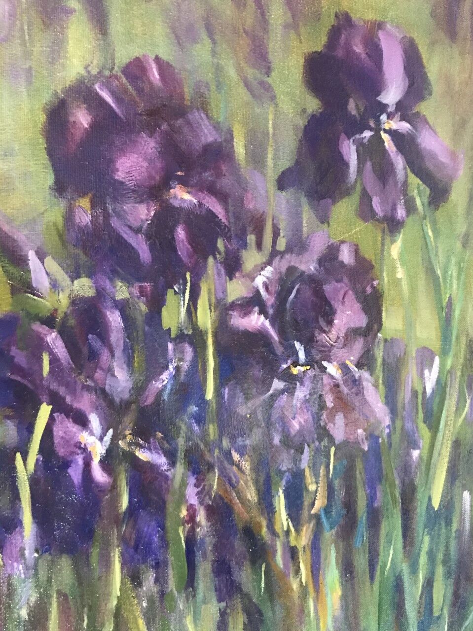 Irises%201