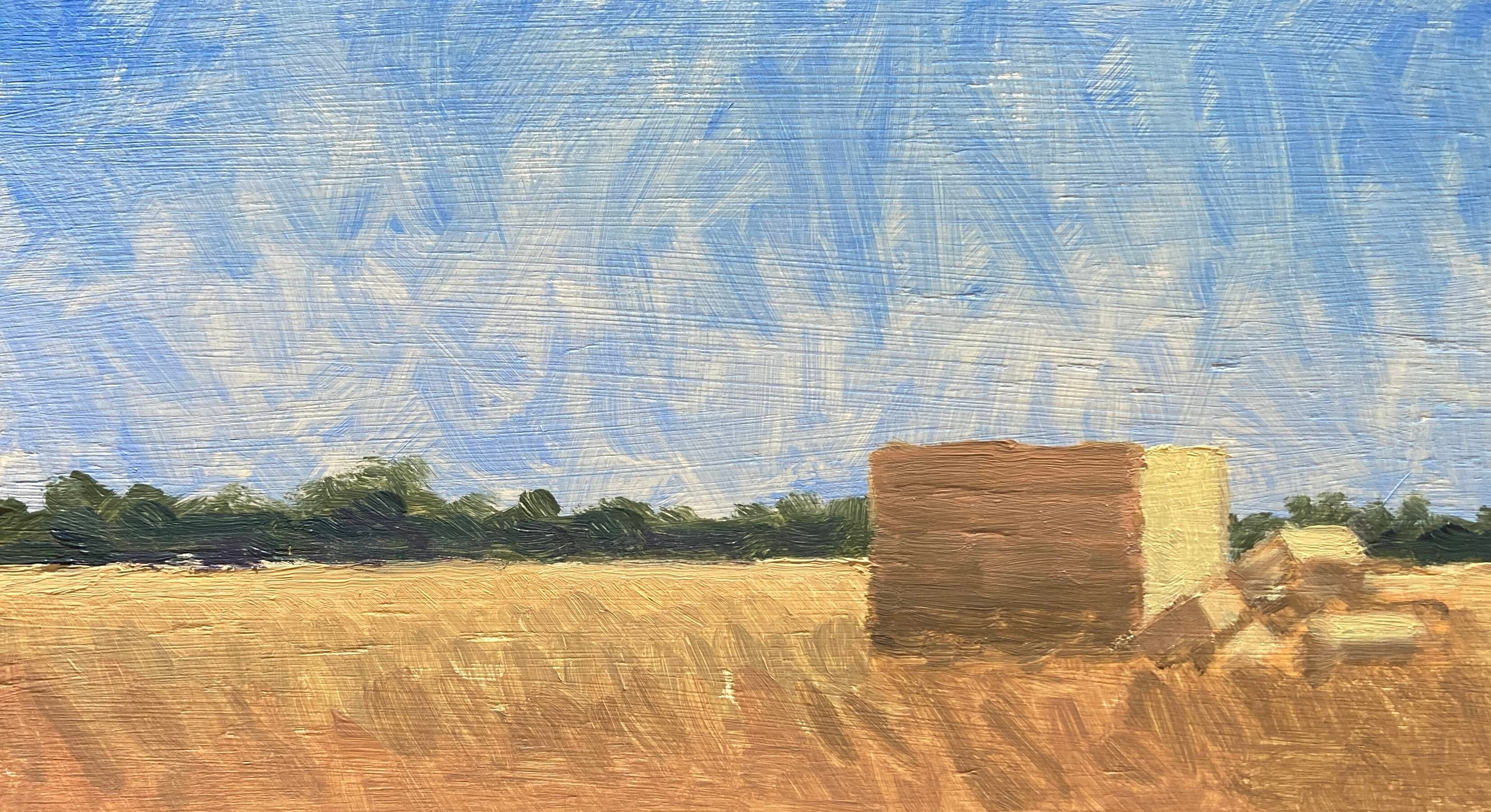 Tumbled hay bales (Edit)