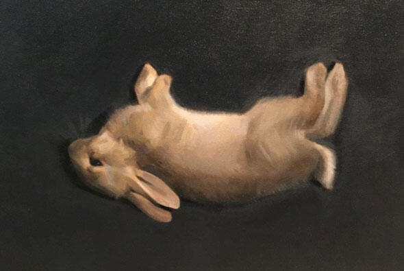 590-RDS-Rabbit image