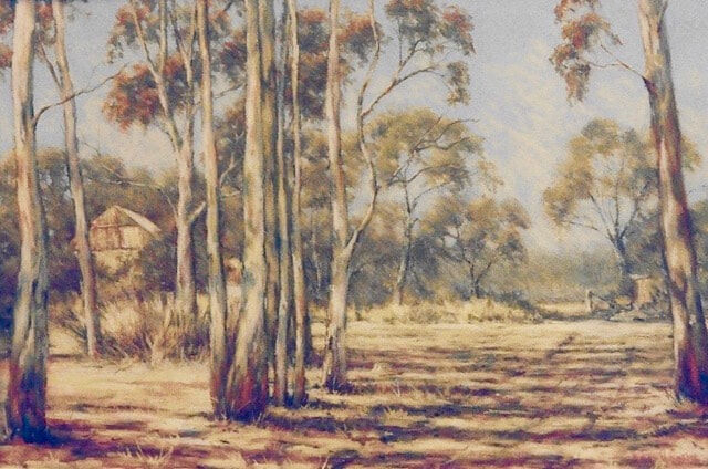 Gums Echuca  -   Pastel