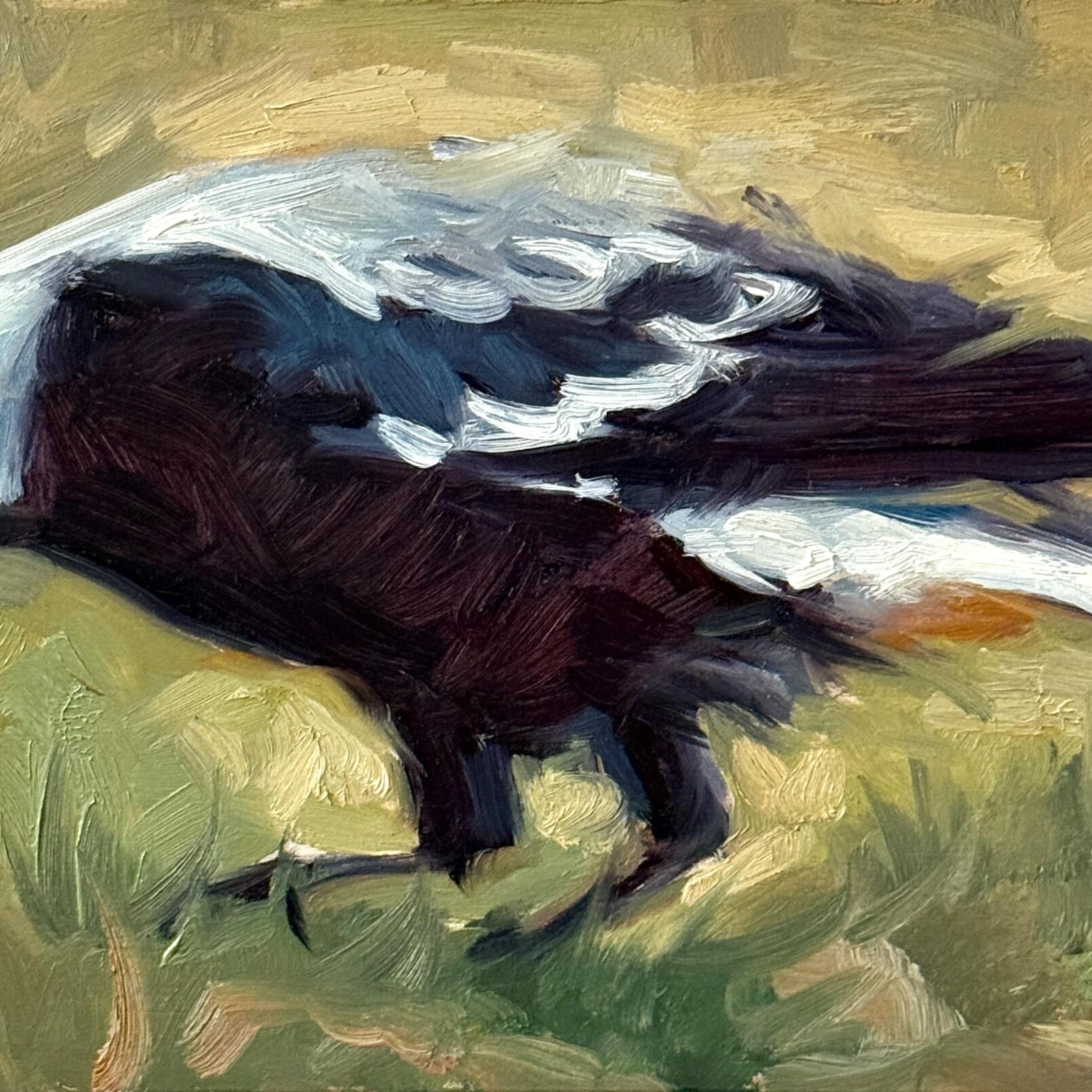 Magpie 44