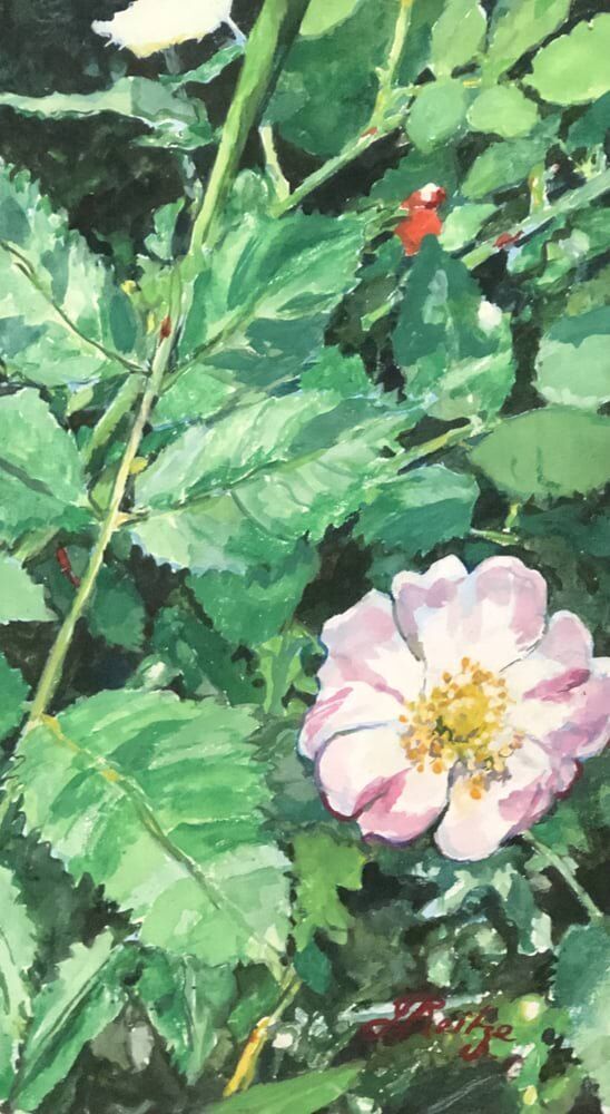 JO REITZE FVAS Briar Rose 1 gouache 9 x 5 inches.jpg