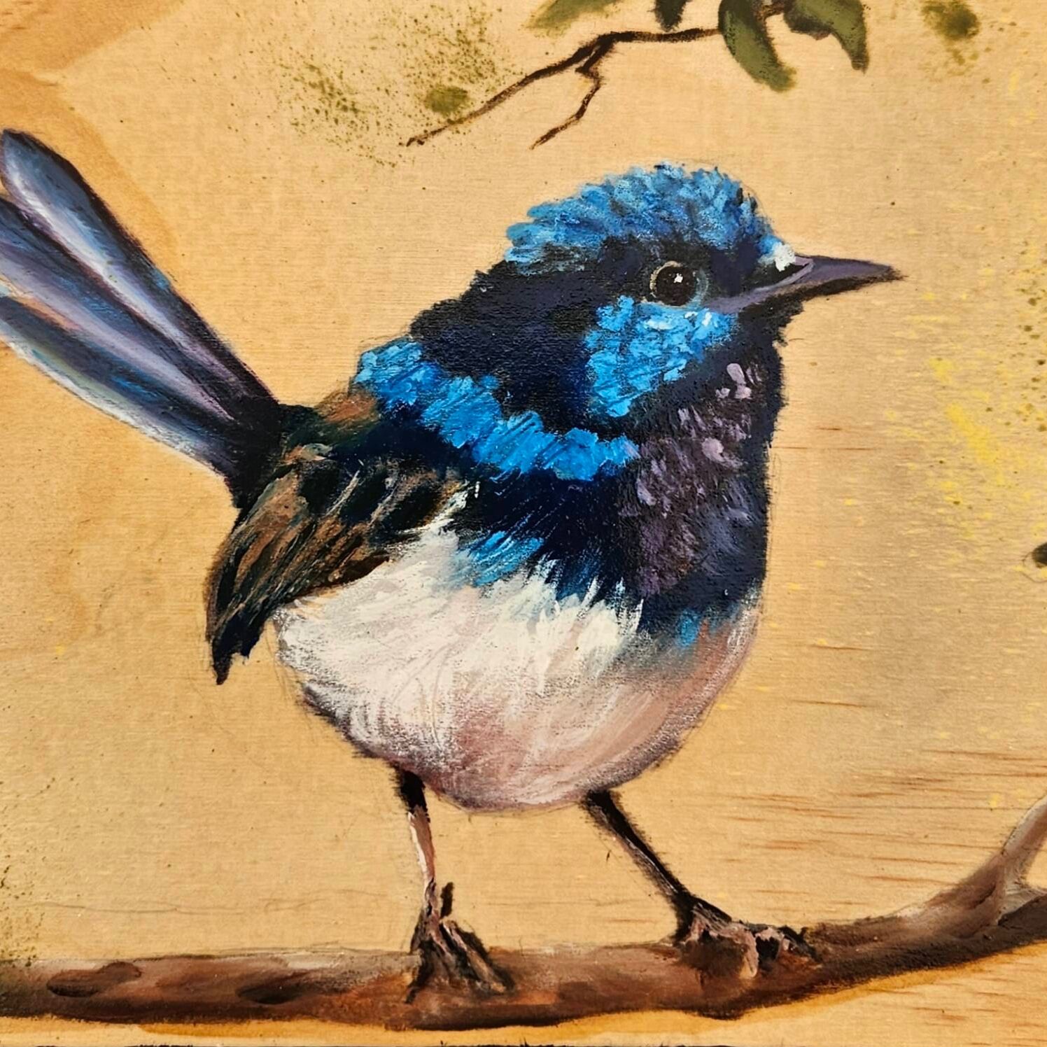 Superb Fairy Wren (Edit)