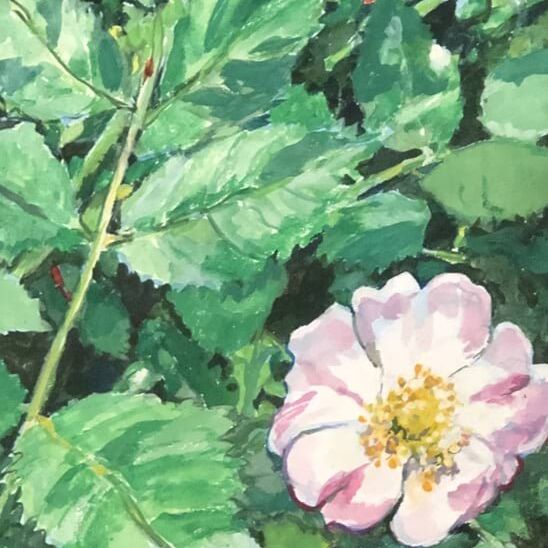 JO REITZE FVAS Briar Rose 1 gouache 9 x 5 inches.jpg