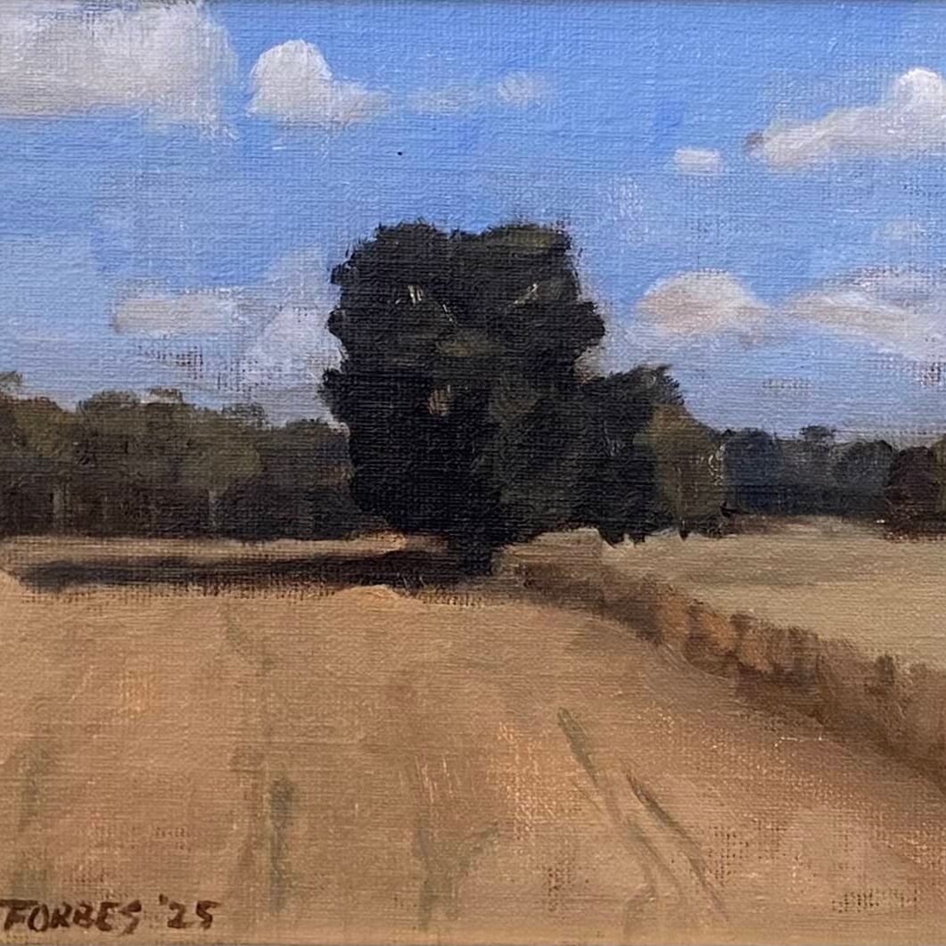 landscape 2.jpg