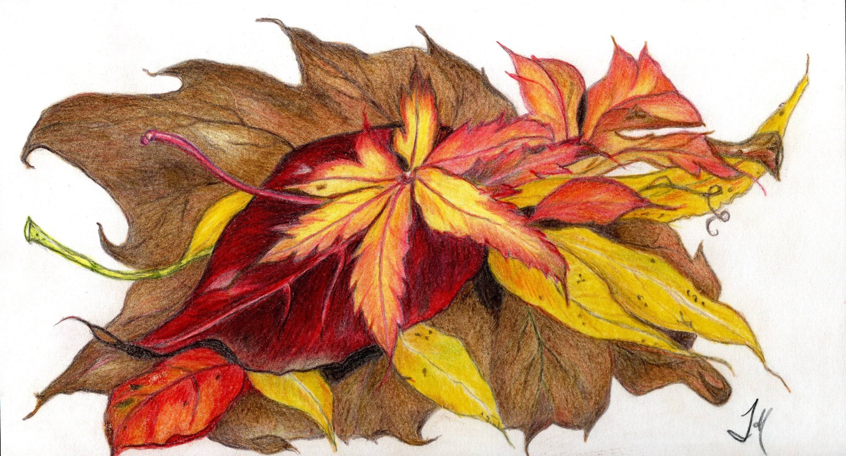 Conclave Leaves.jpg