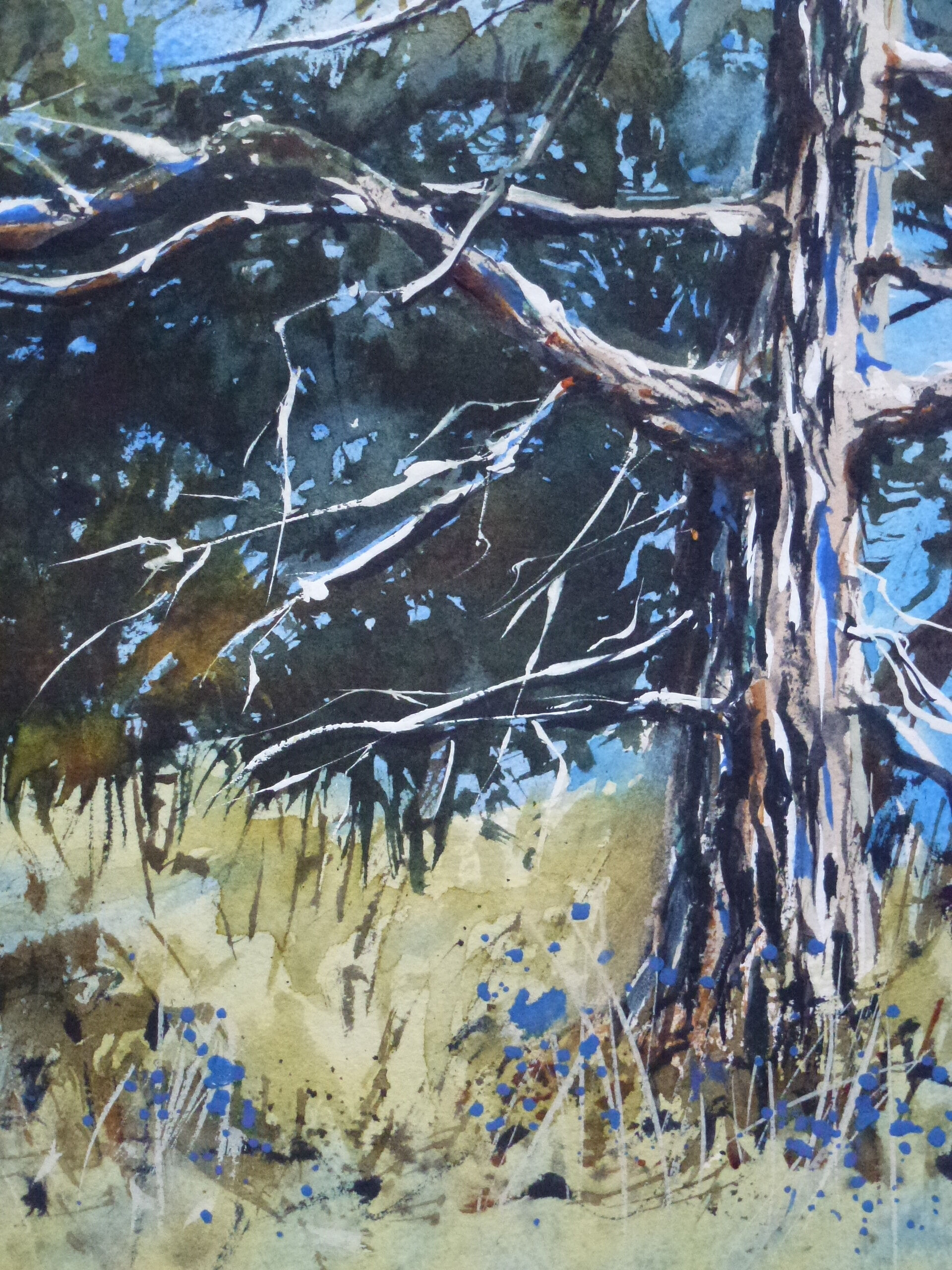 landscape pine at Selby detail 1  wc Maxine Wade