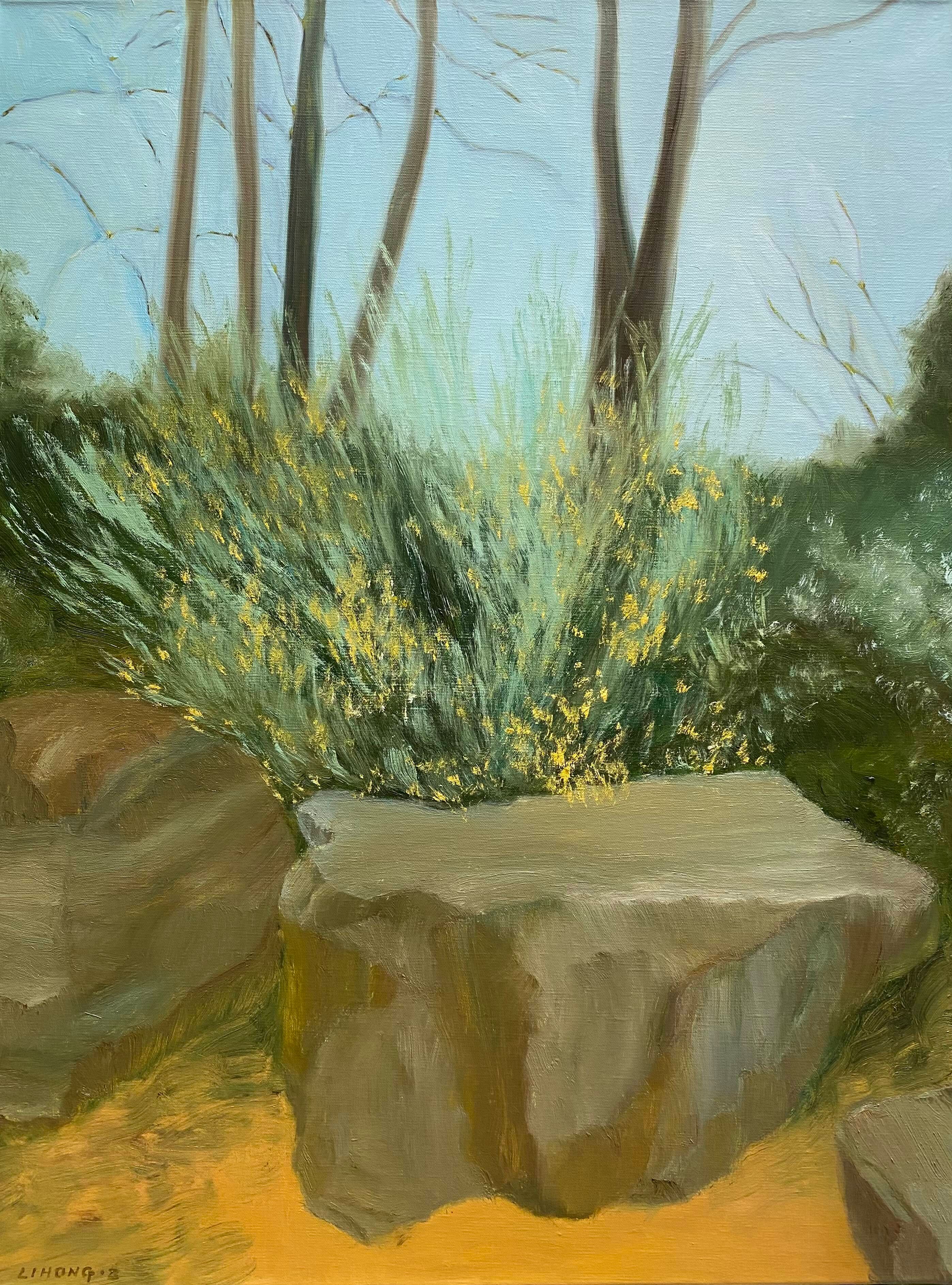 Garden Diary 17---Rock 1 Oil on Linen  60x80cm   Lihong Zhang   2025.jpg
