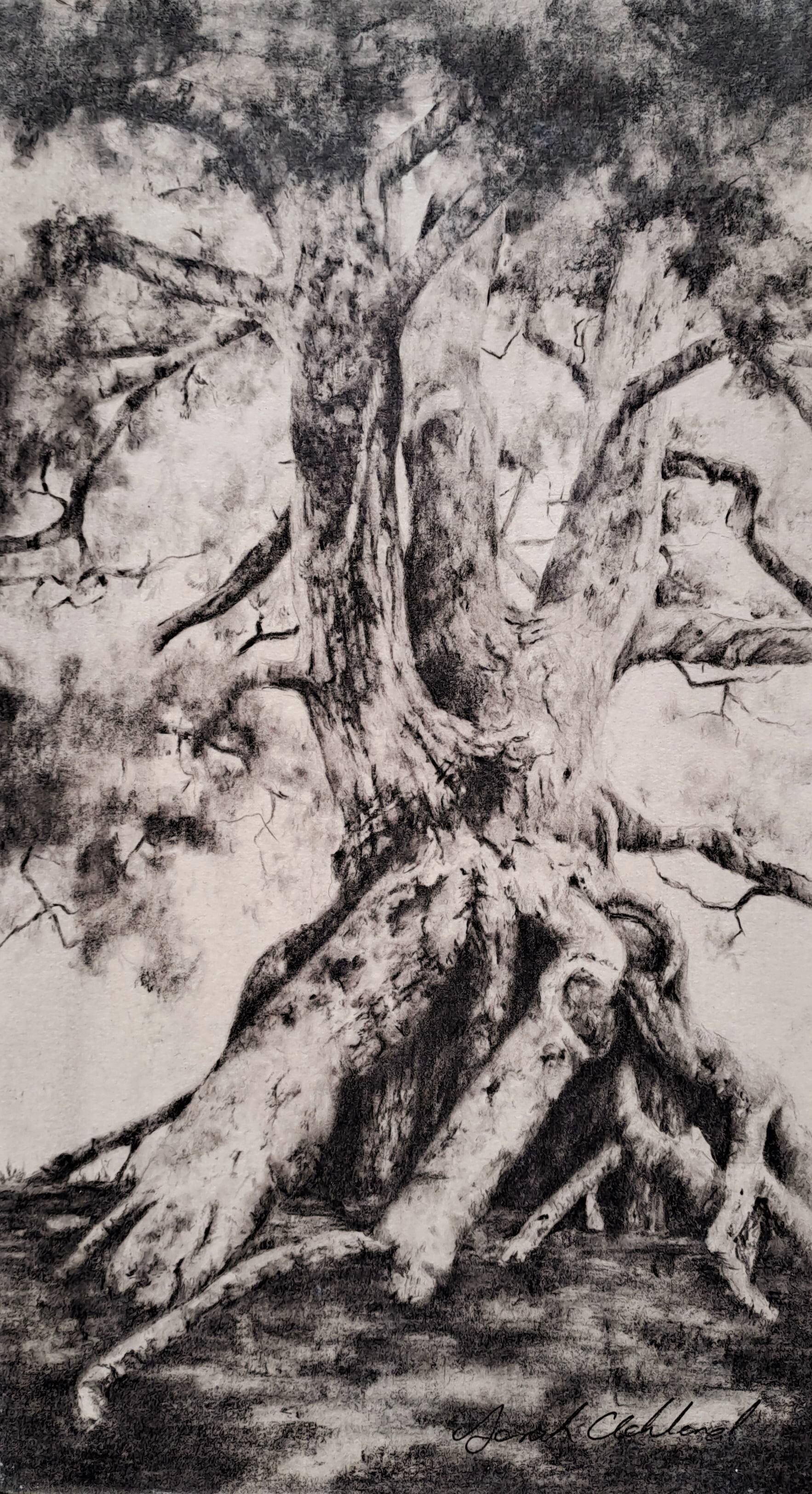 tree study 9x5.jpg