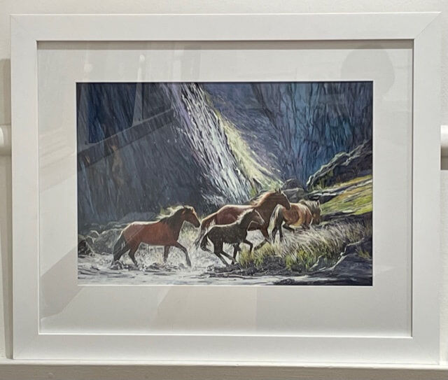 22B_Heather Peberdy_The brumbies take flight_Pastel