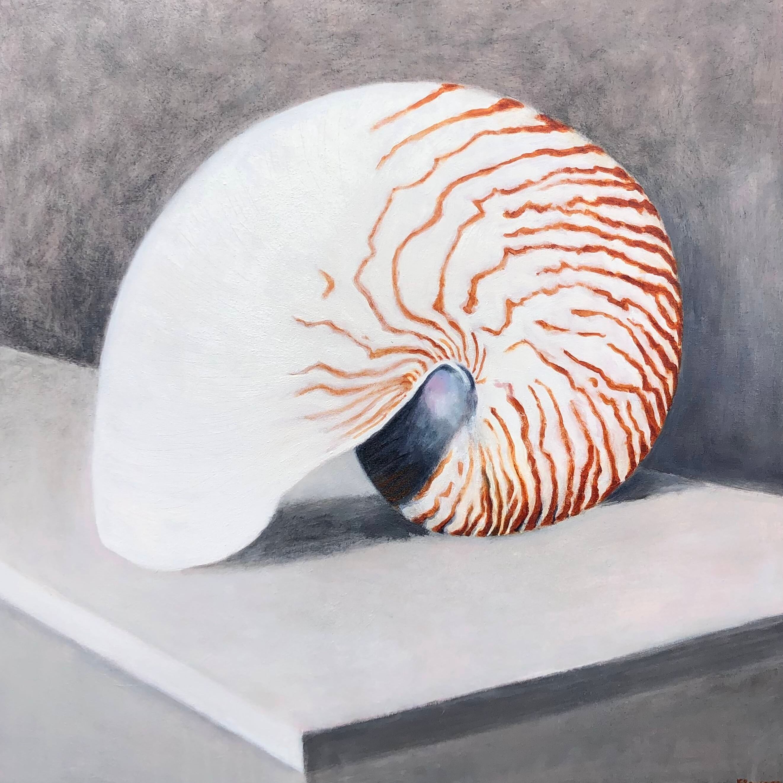 Nautilus.jpg (Edit)