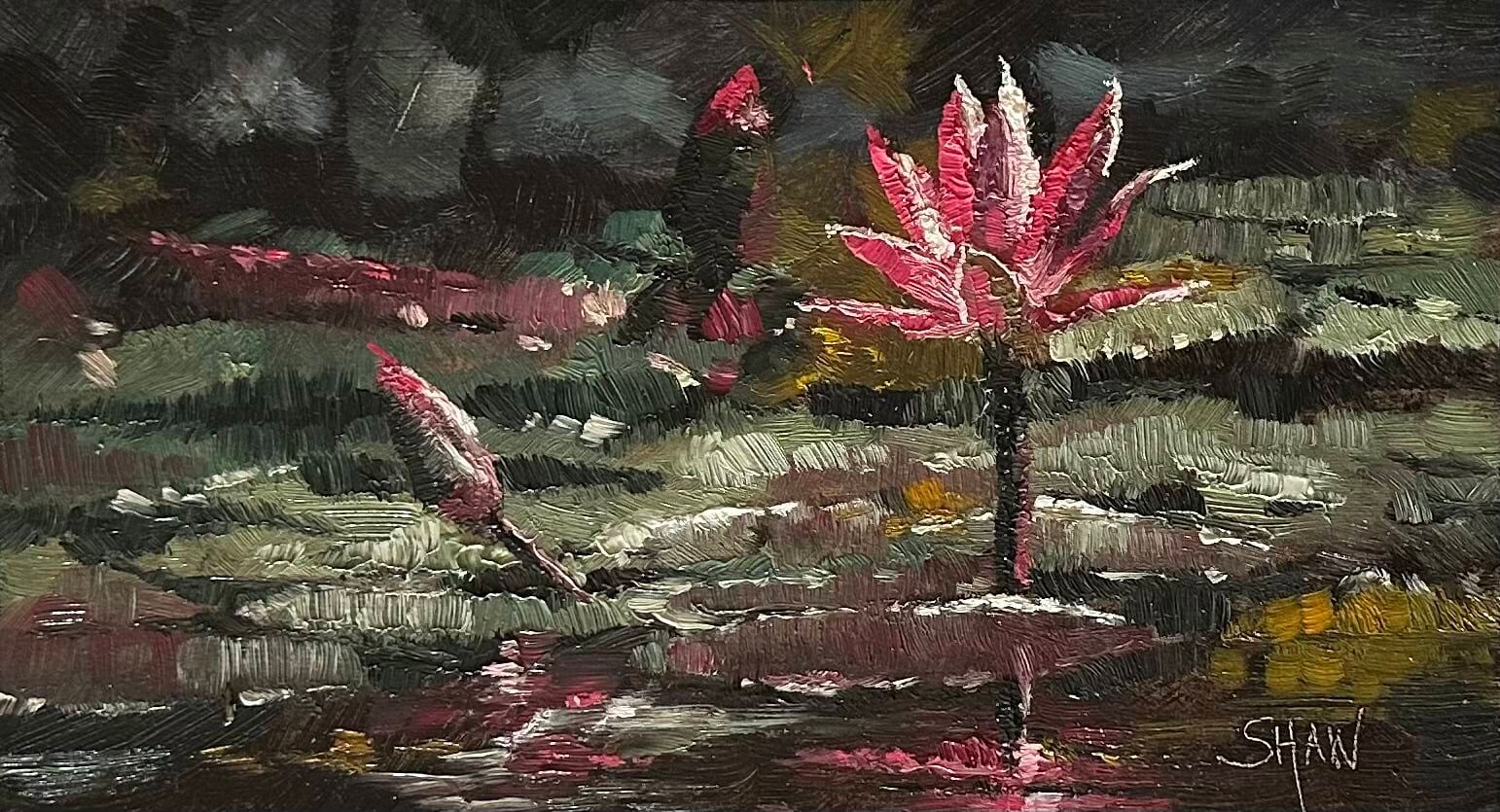 Water Lillies