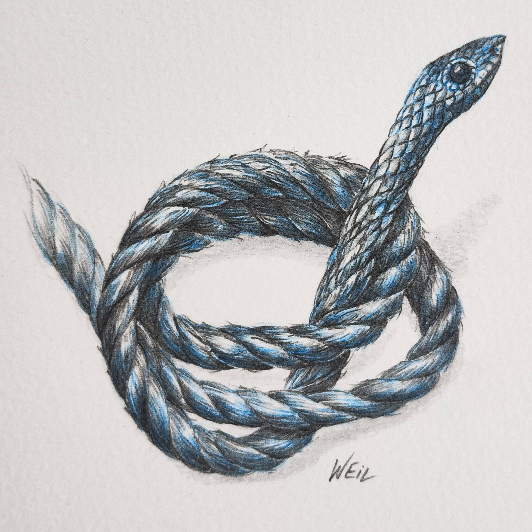 RopeTrick#2_Weil.jpg