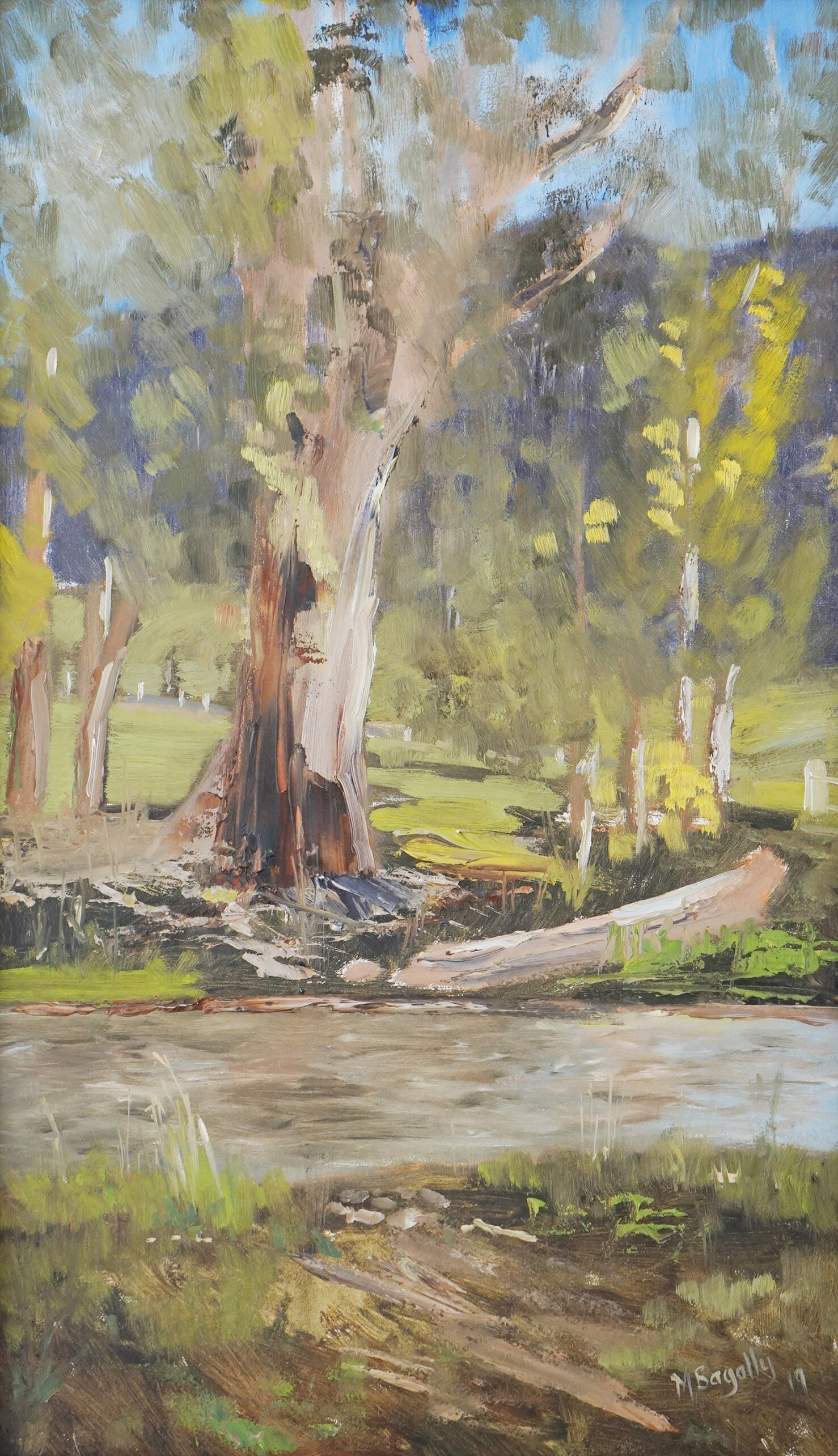 23 Steavenson River