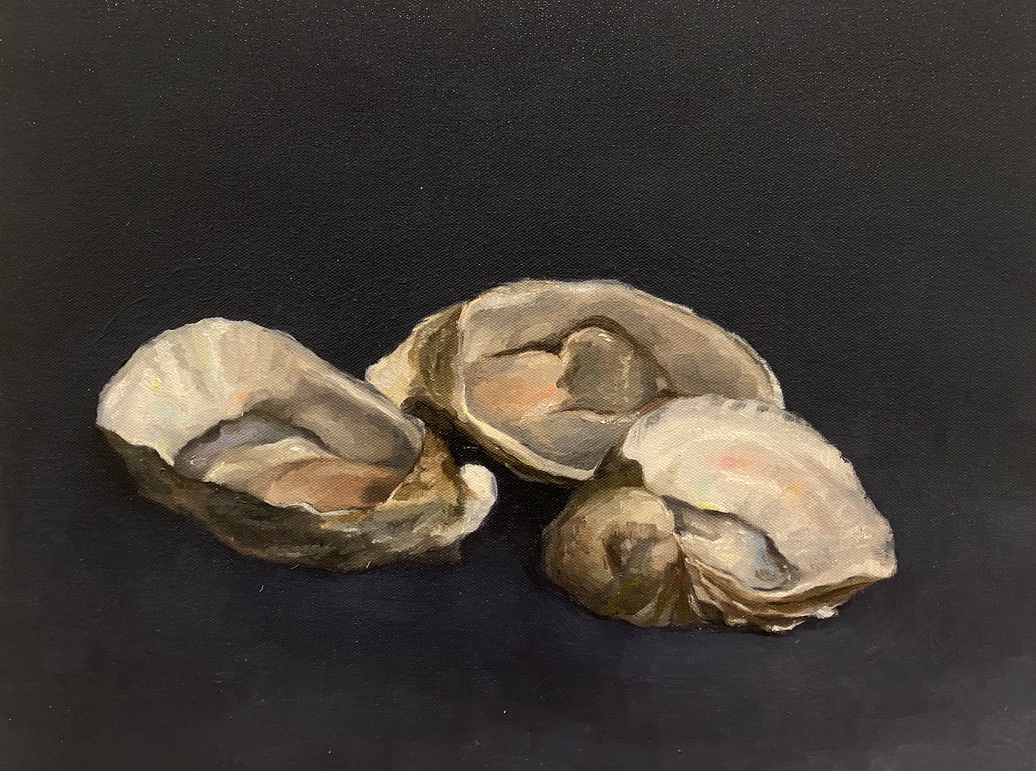 Oysters_Lucy Maddox