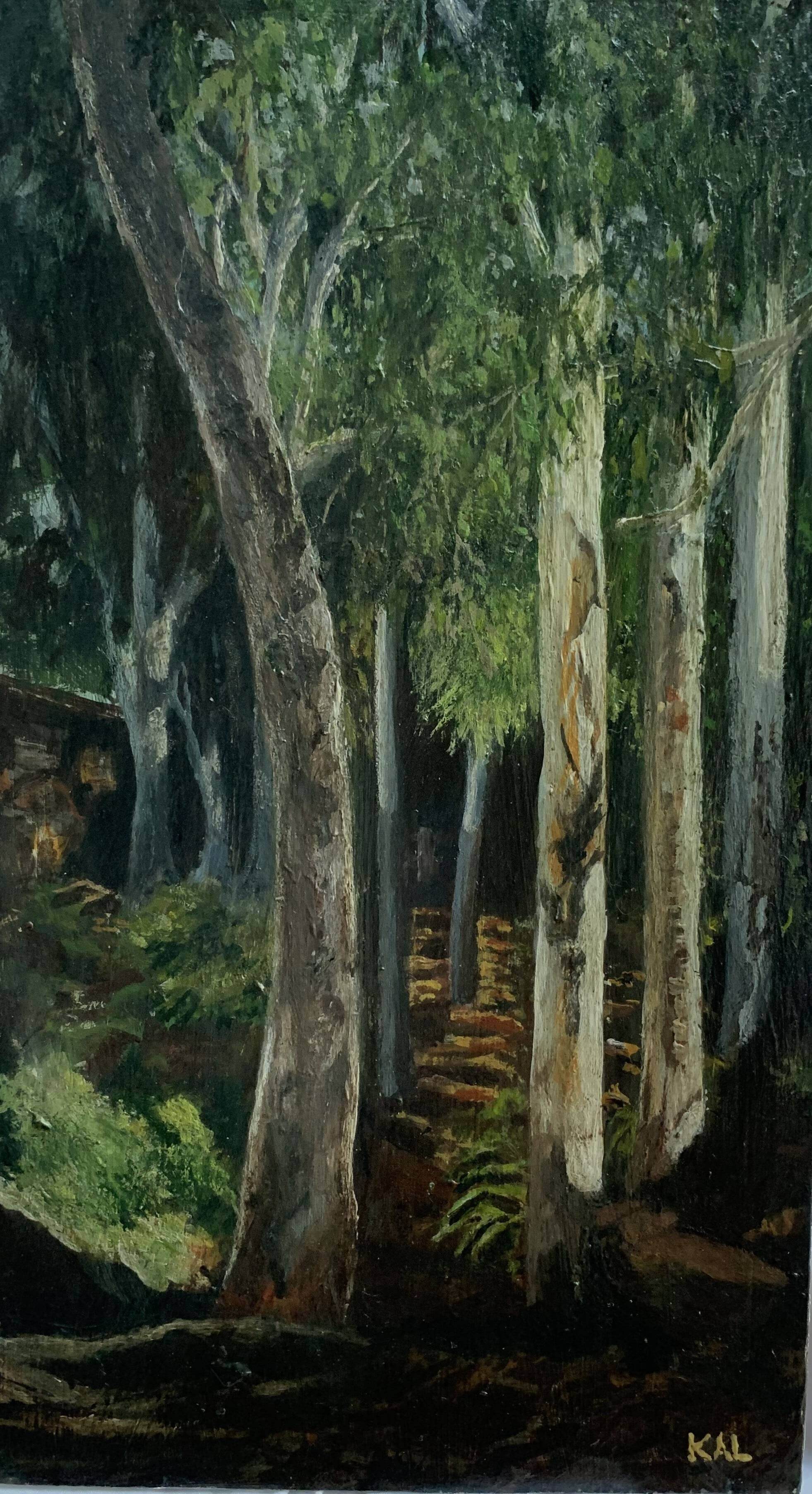 Shadow Grove.JPG