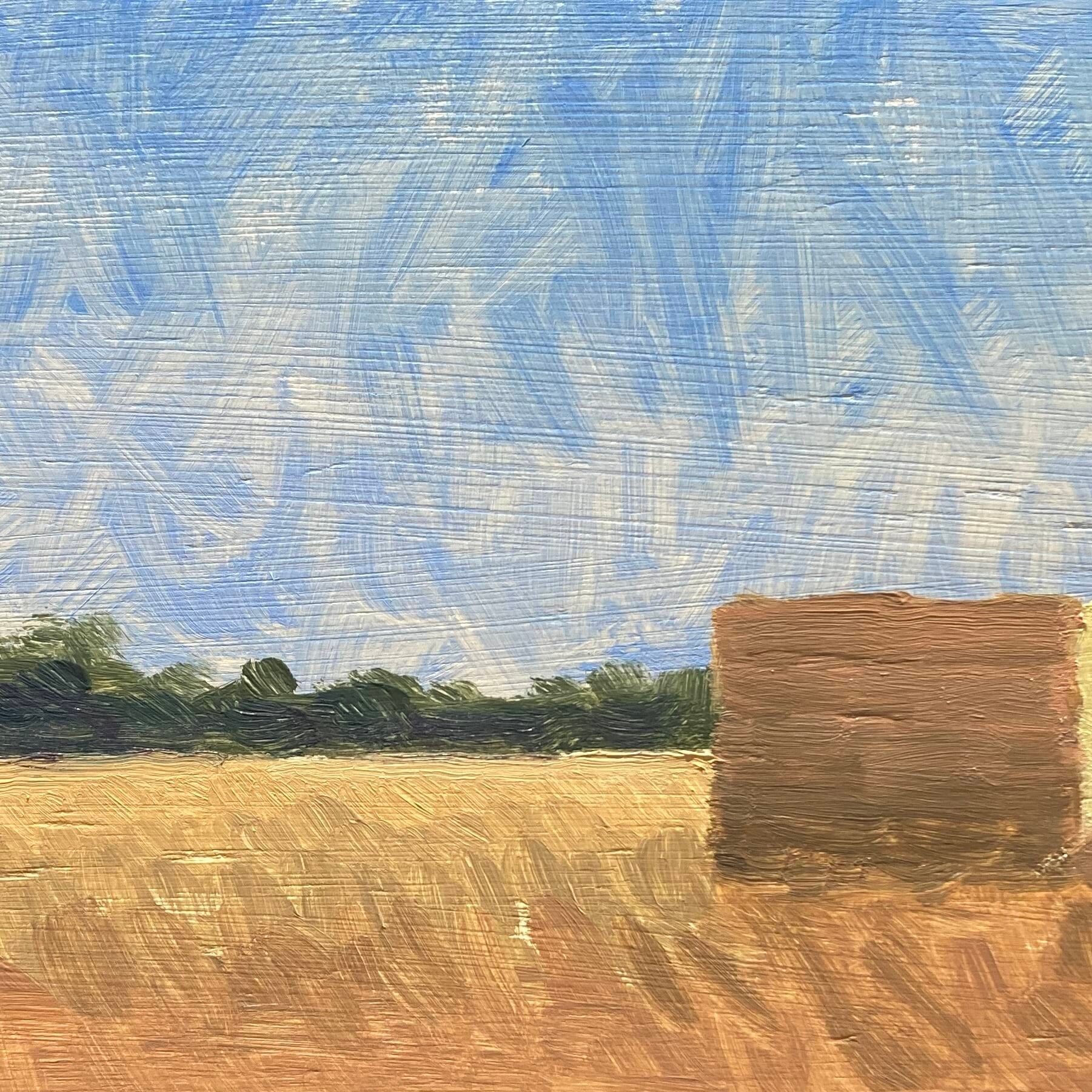 Tumbled hay bales (Edit)