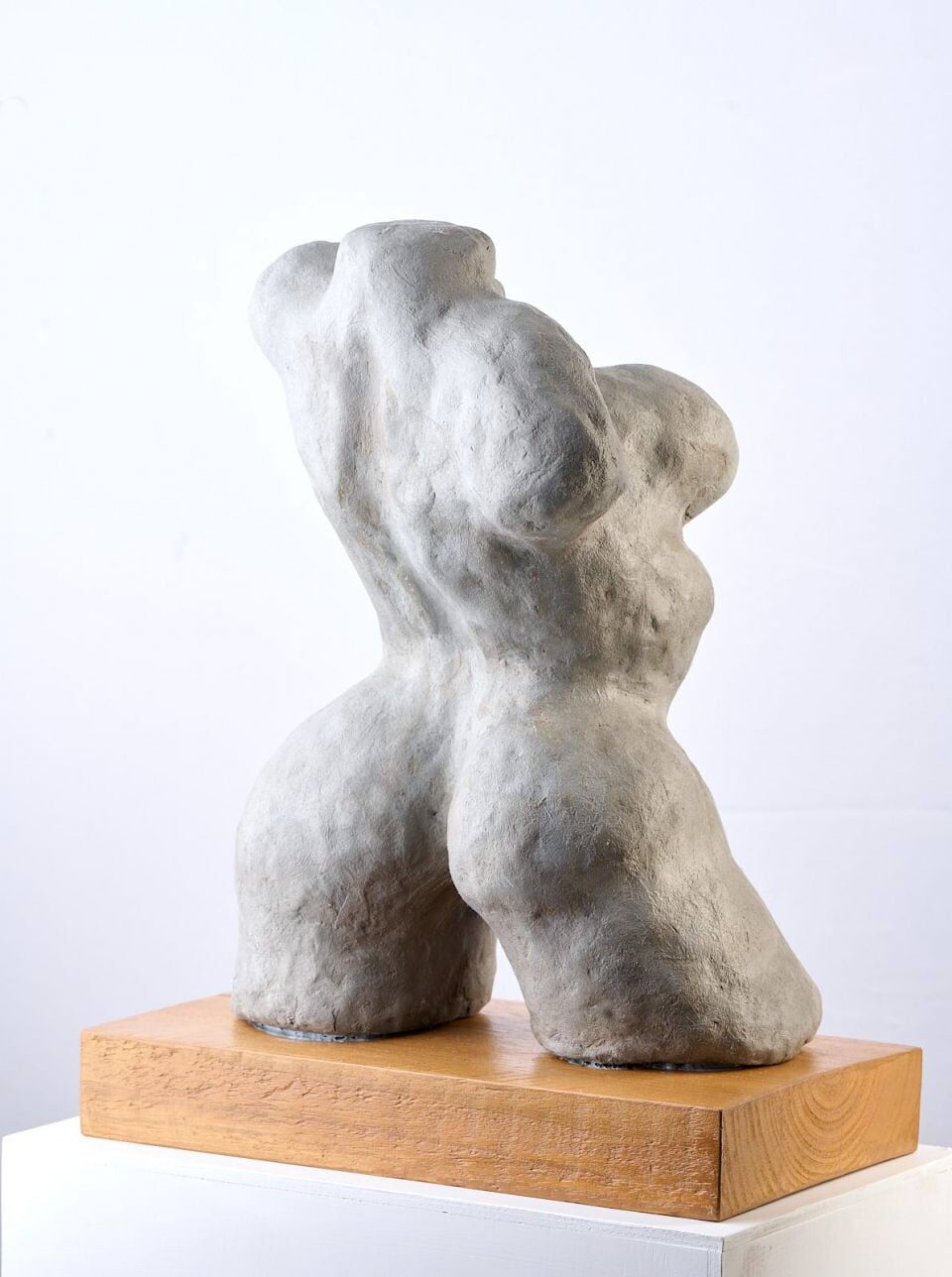 S Curve Pose - Female Torso 064-09__large.jpg