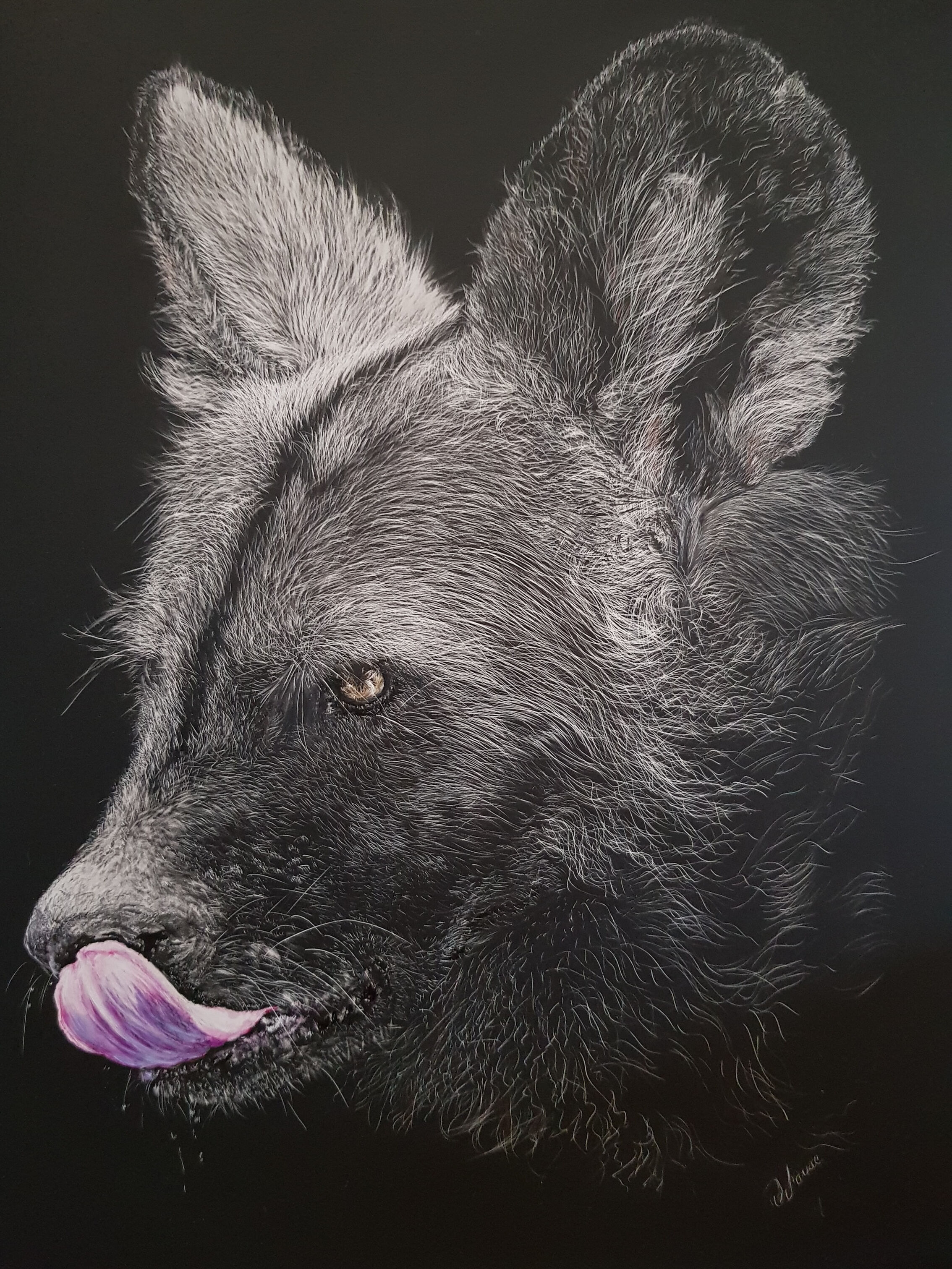 JLowe.African Painted Wolf. Faces&Places.Jul2022