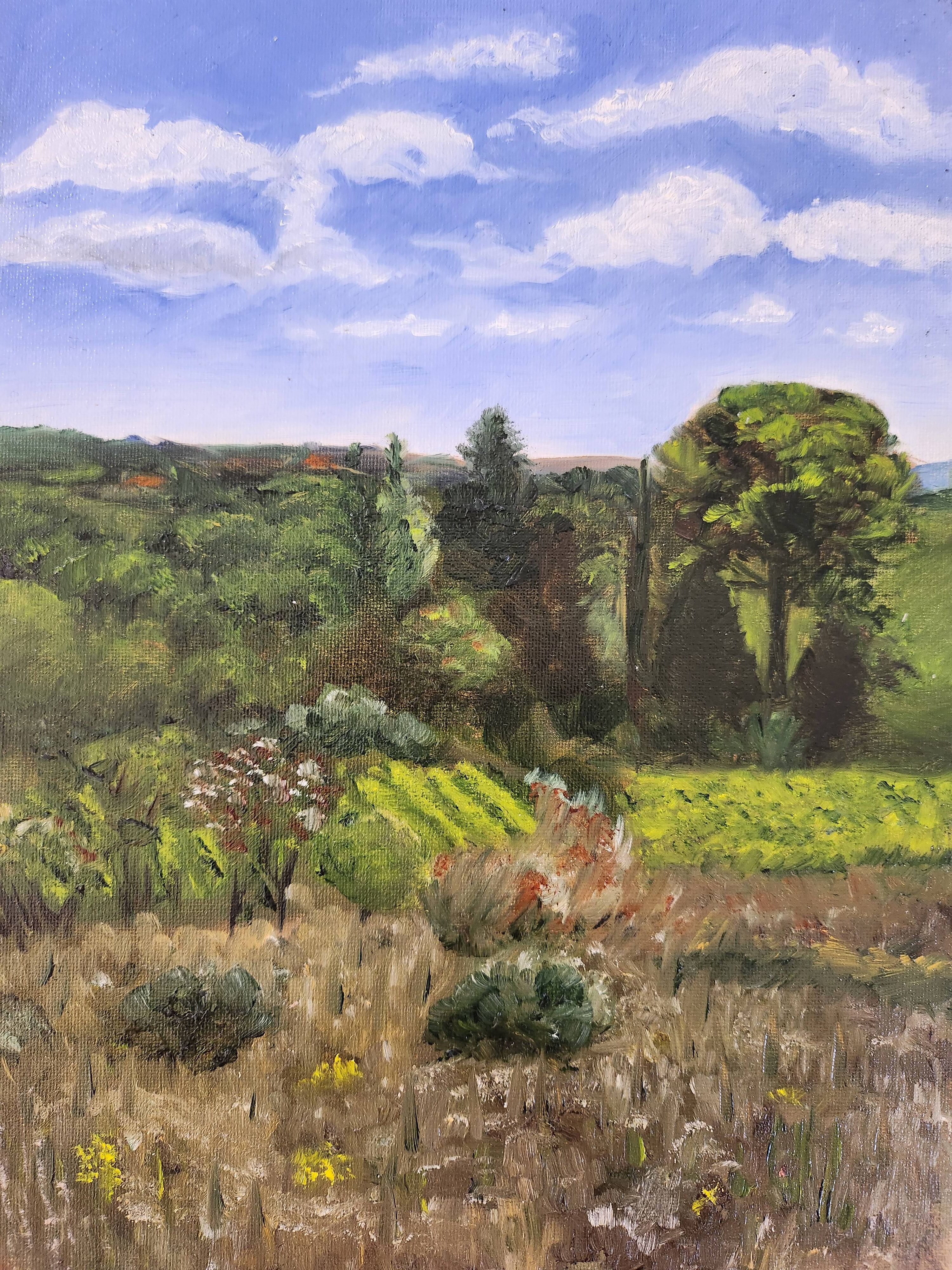 Autumn Farmland, Southern France.jpg