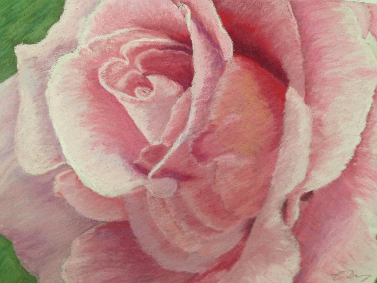 38A_Christine Denny_Pink Splendour_Pastel