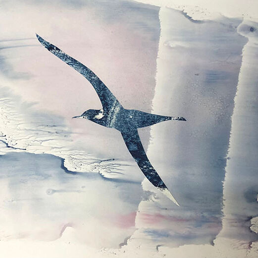 28. AlbatrossStudy2_EWagner