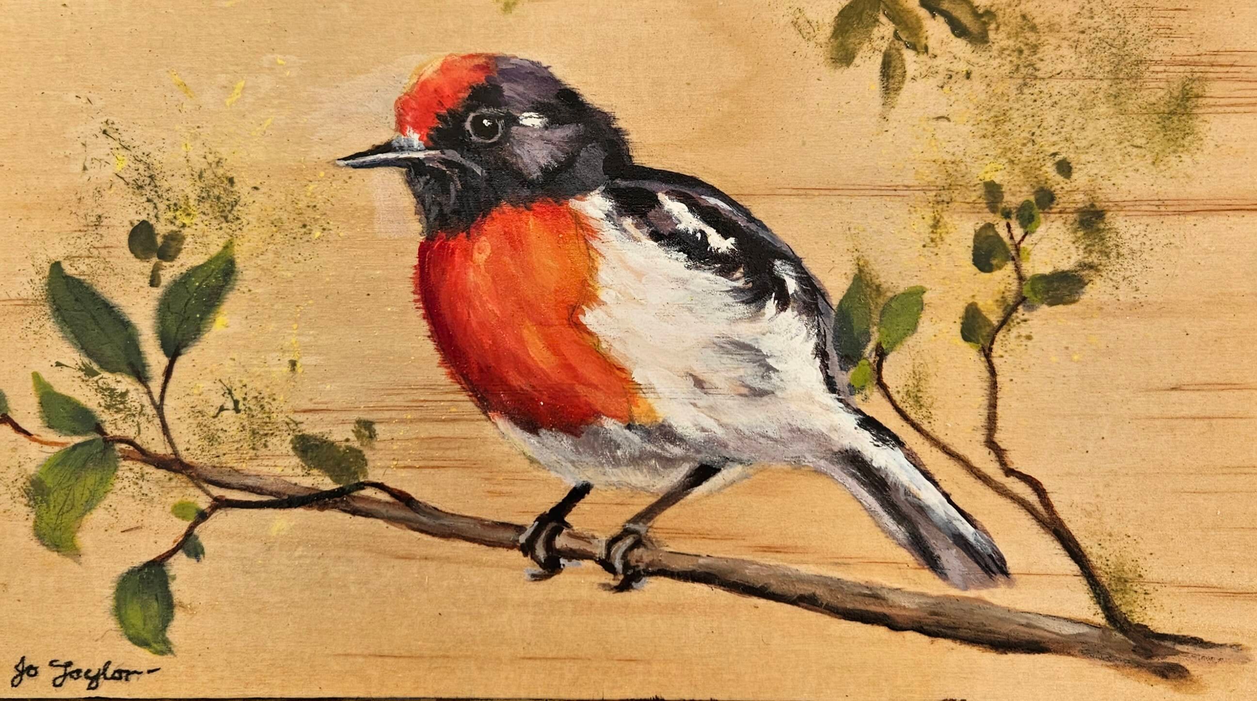 Red-capped Robin