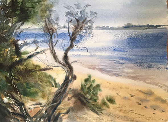 590-DNethercote-Barwon.River