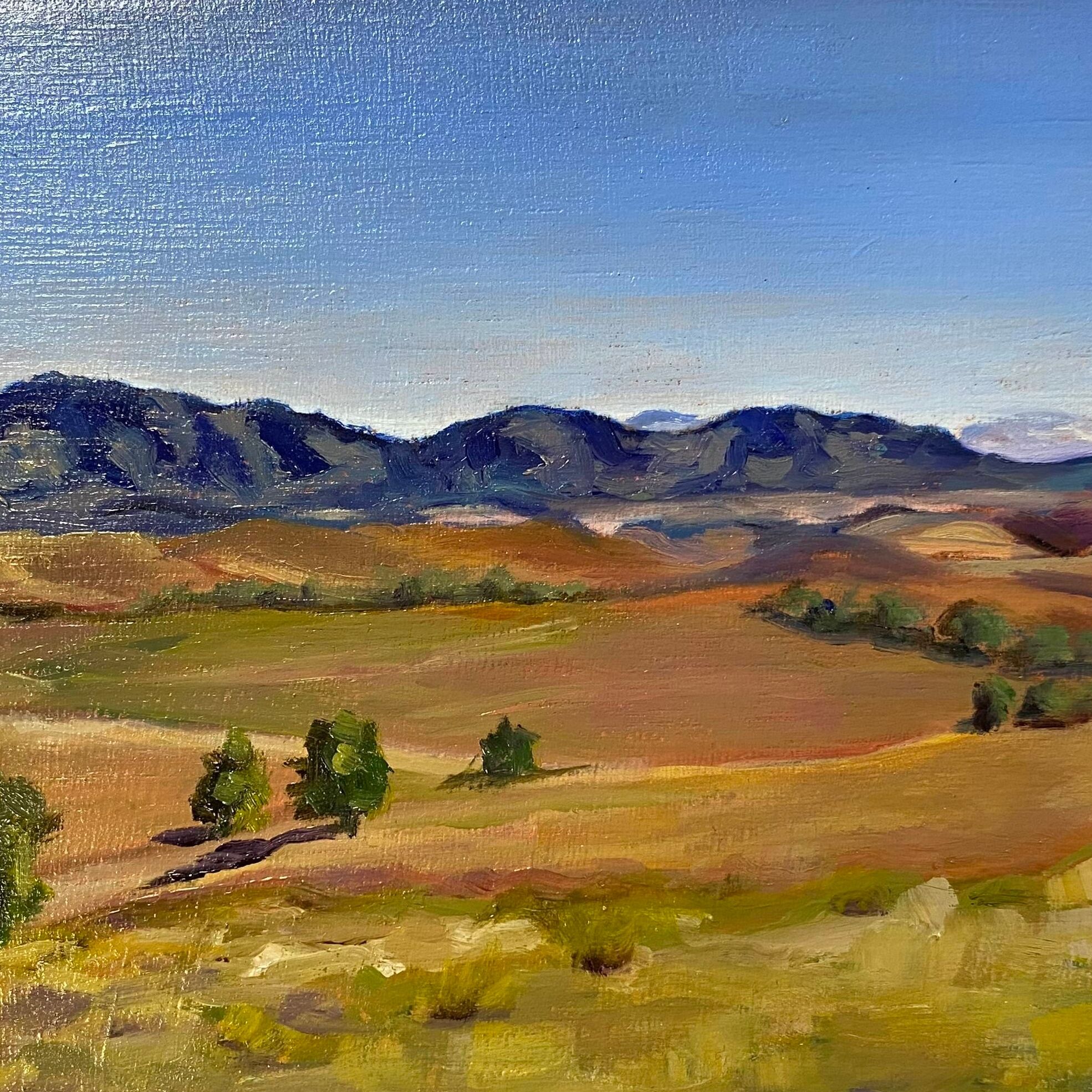 Willow Springs, Flinders Ranges (Edit)