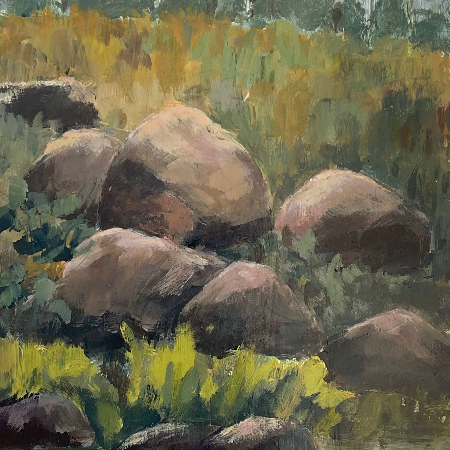 Seven Creeks Near Euroa