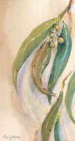 Gumleaf Rhythm 1 (Edit)