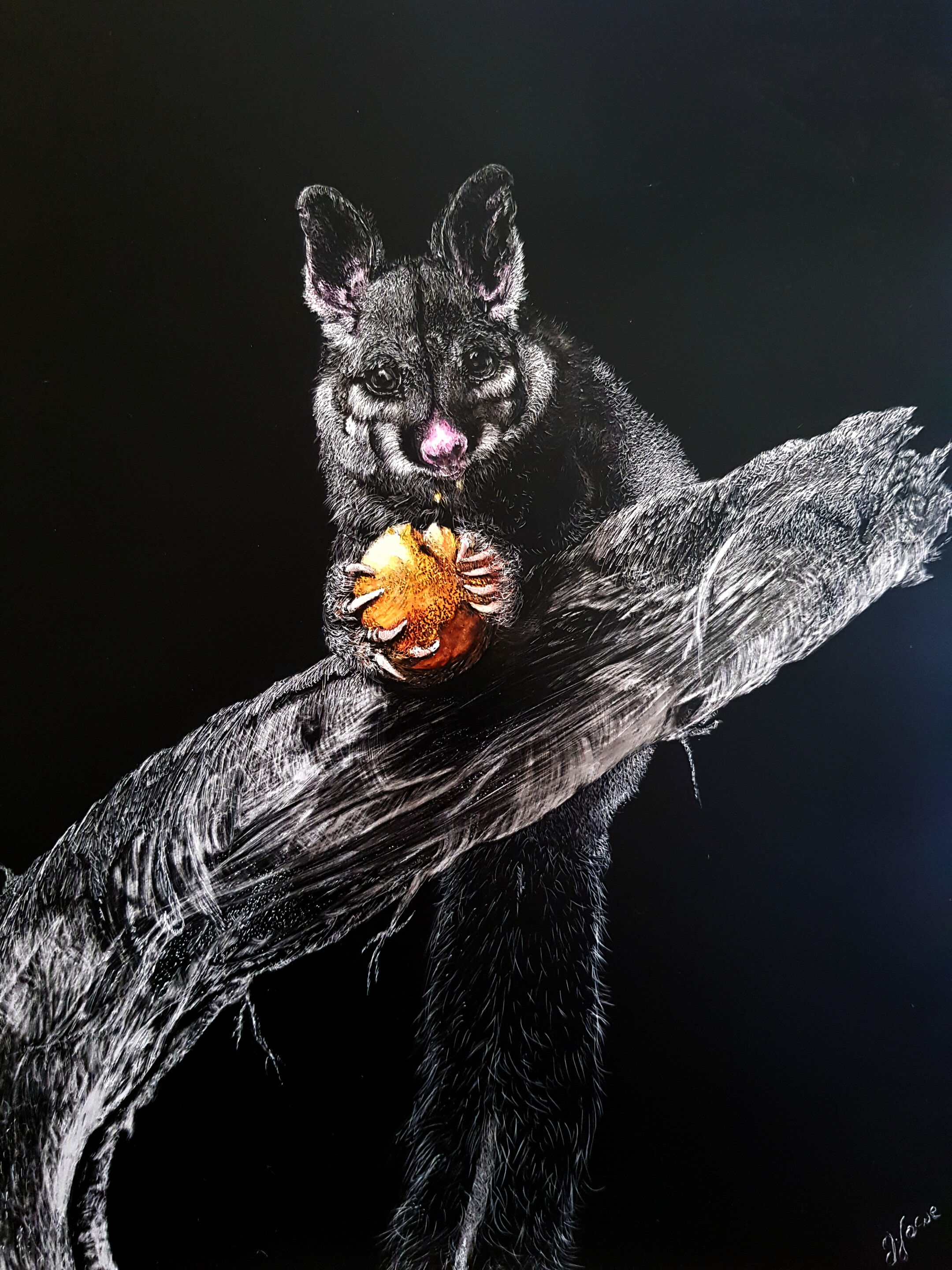 JLowe.Brushtail Possum.Faces&Places Ex.Jul22