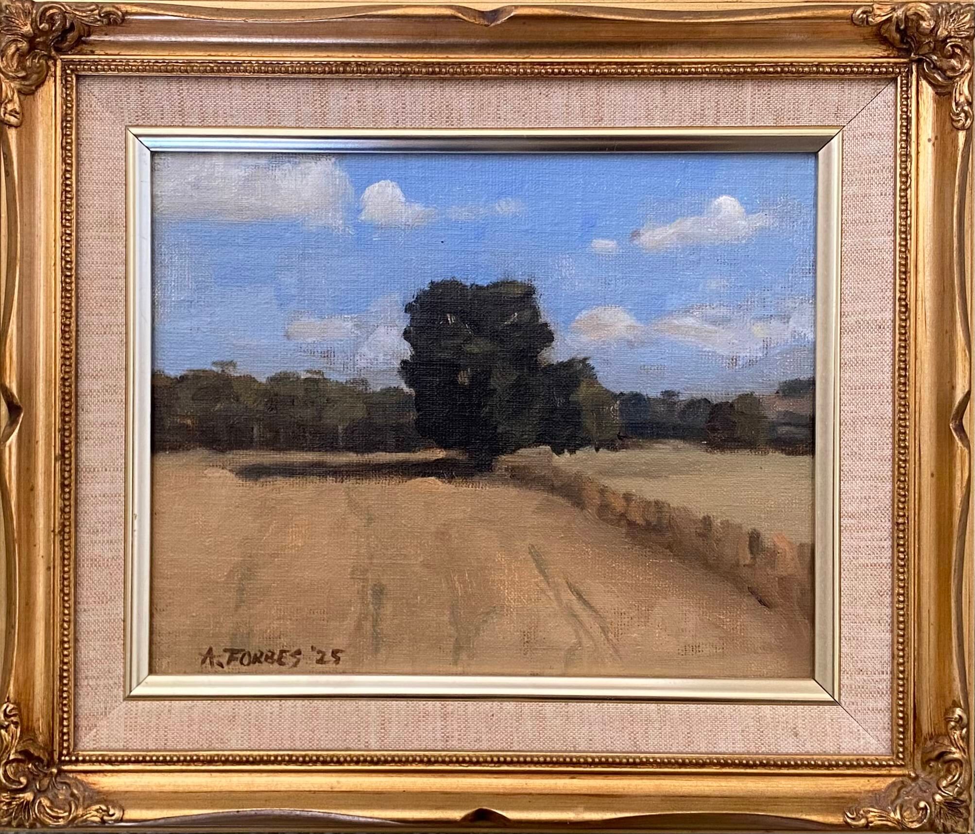 landscape 1 framed.jpg