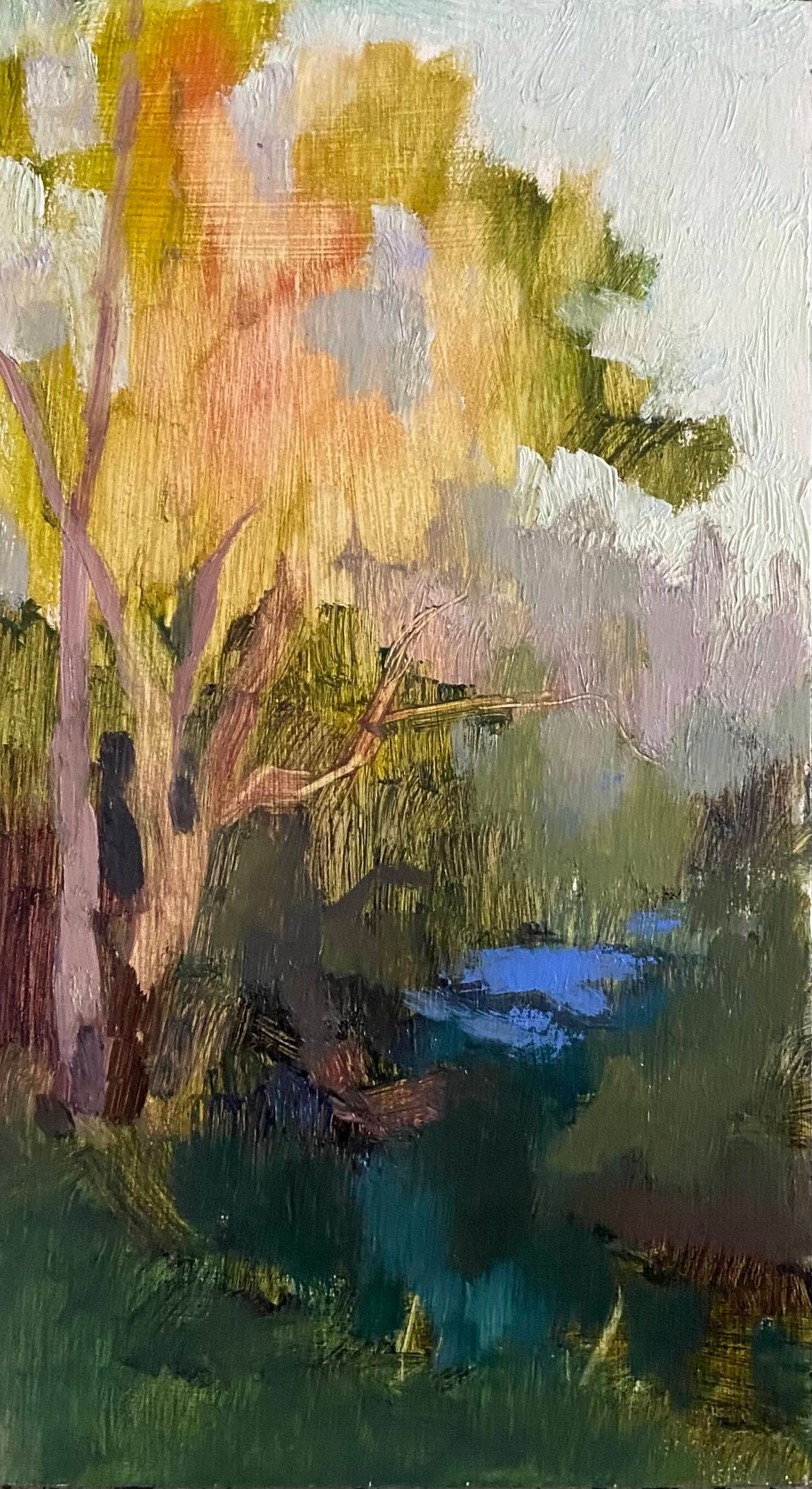 The creek near Ida St
