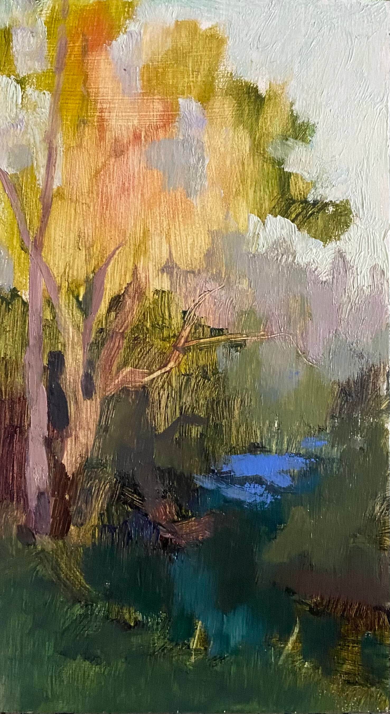 The creek near Ida St