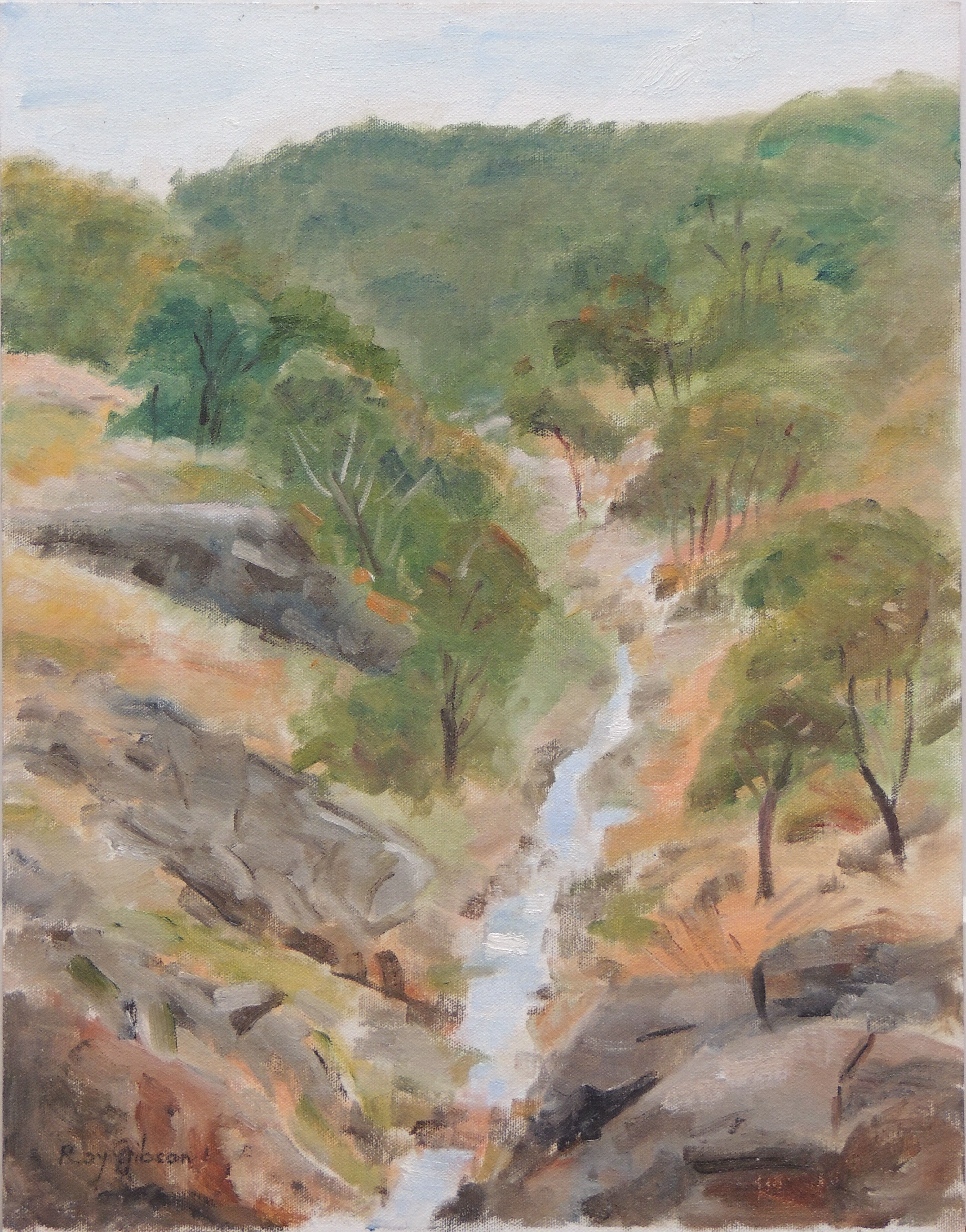 Roy Gibson_BEECHWORTH GORGE