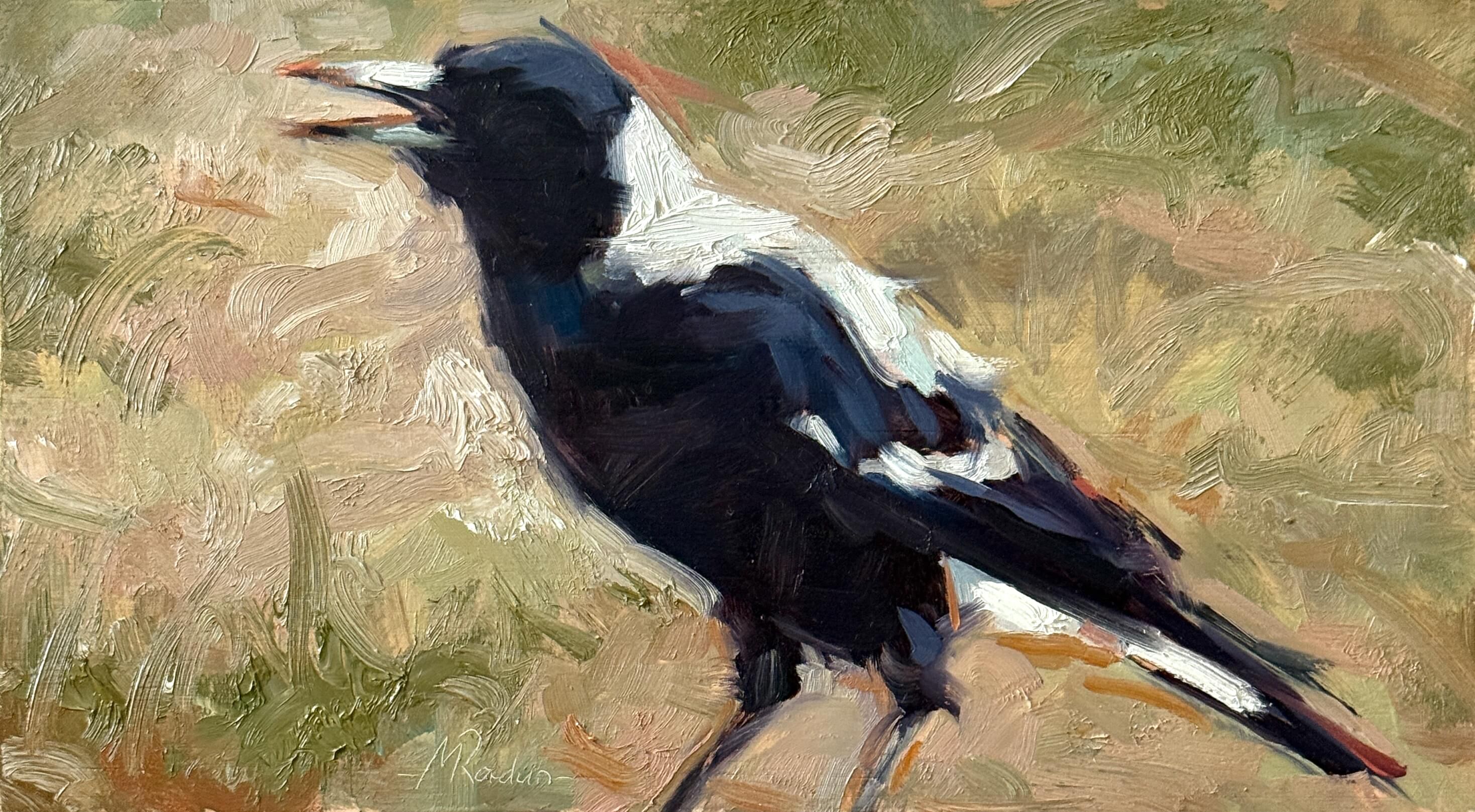 Magpie 34