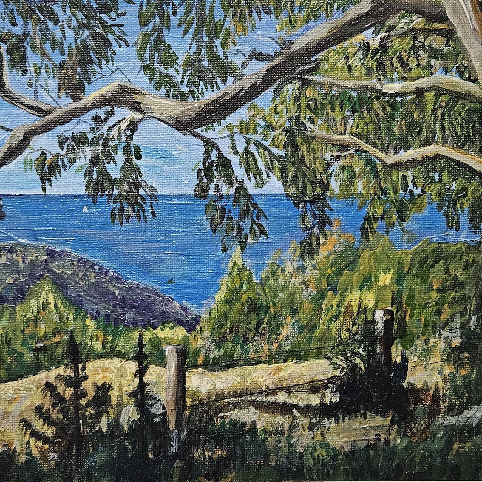 Eyrie_view_of_the_bay_noframe.jpg