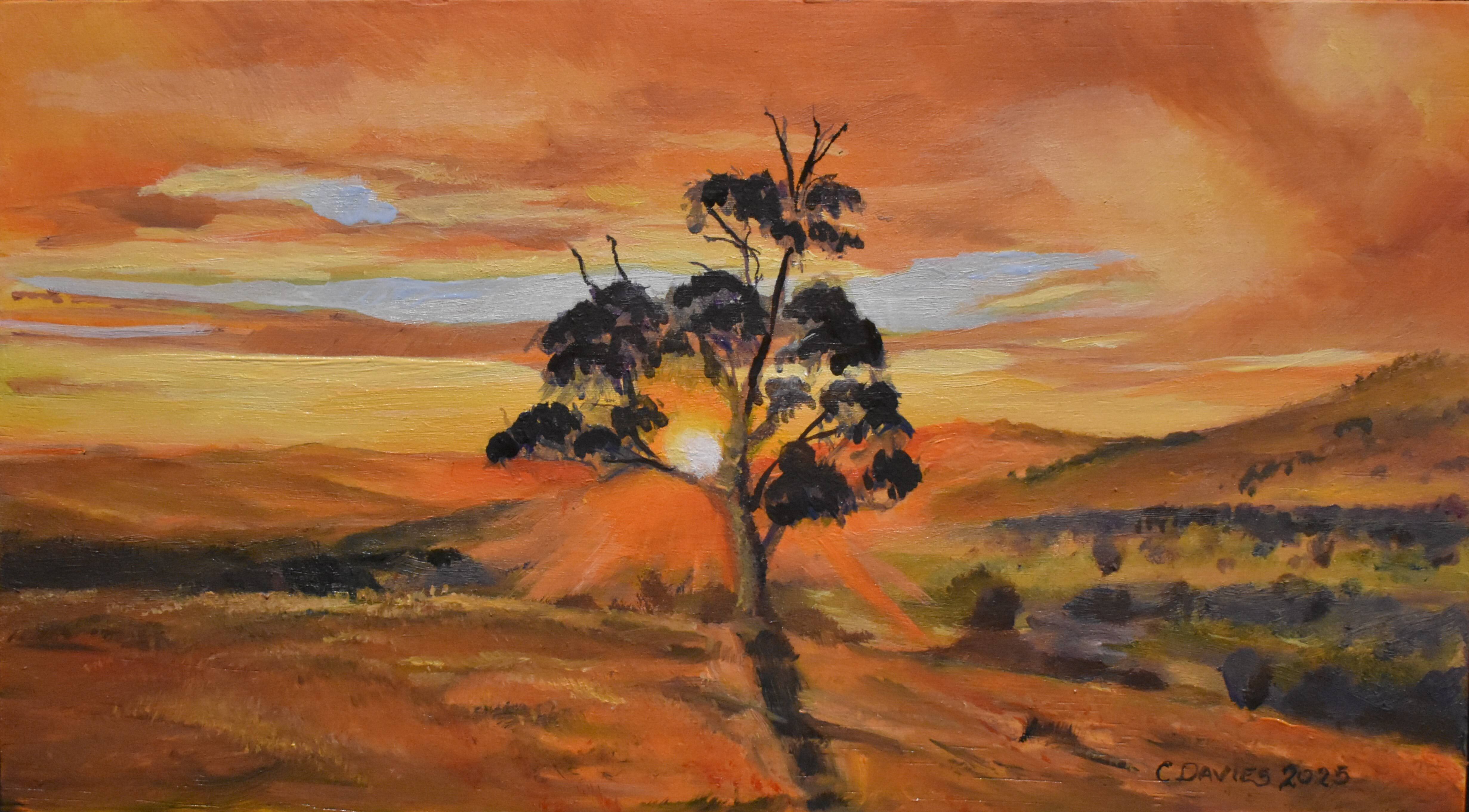 Gundagai Lookout