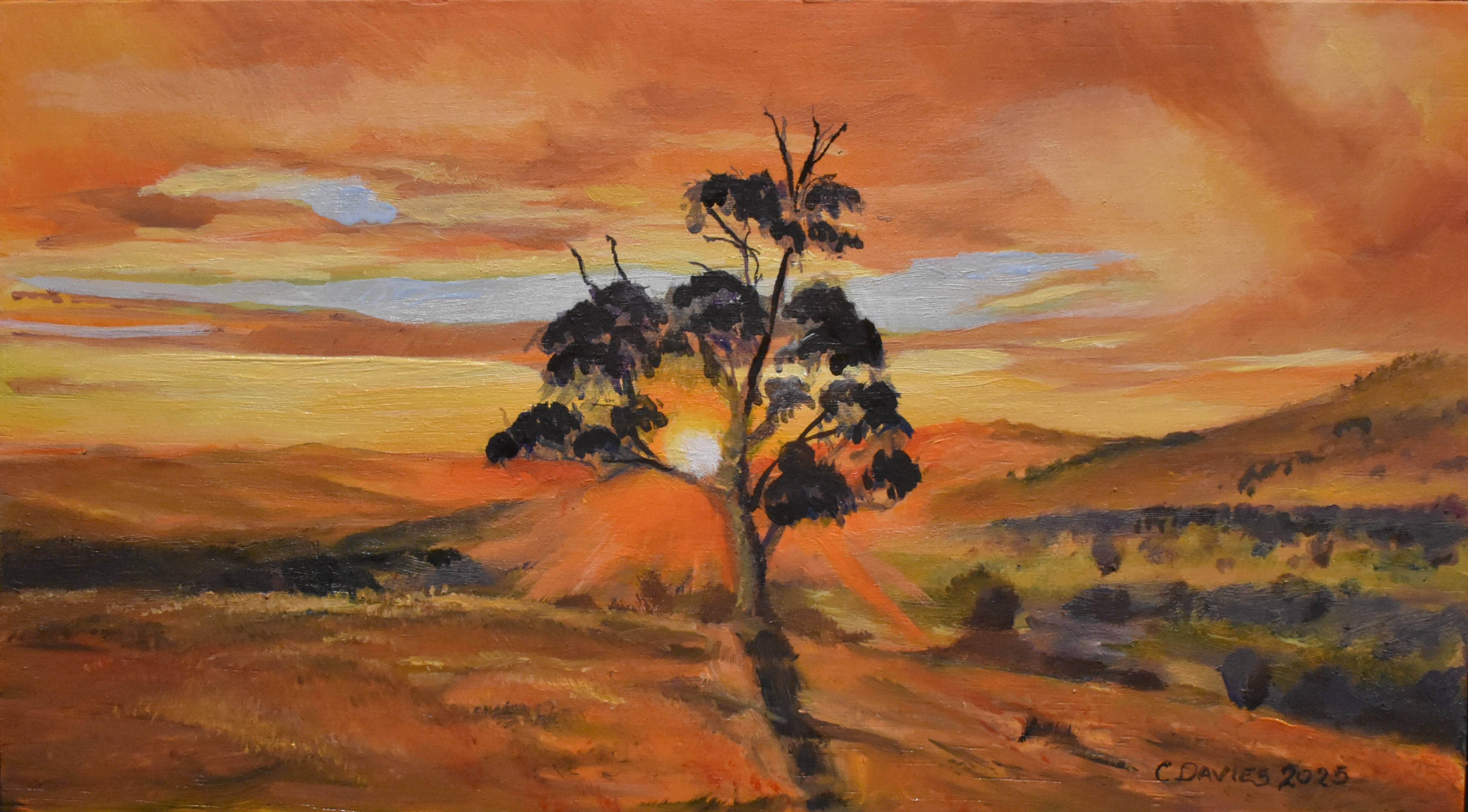 Gundagai Lookout
