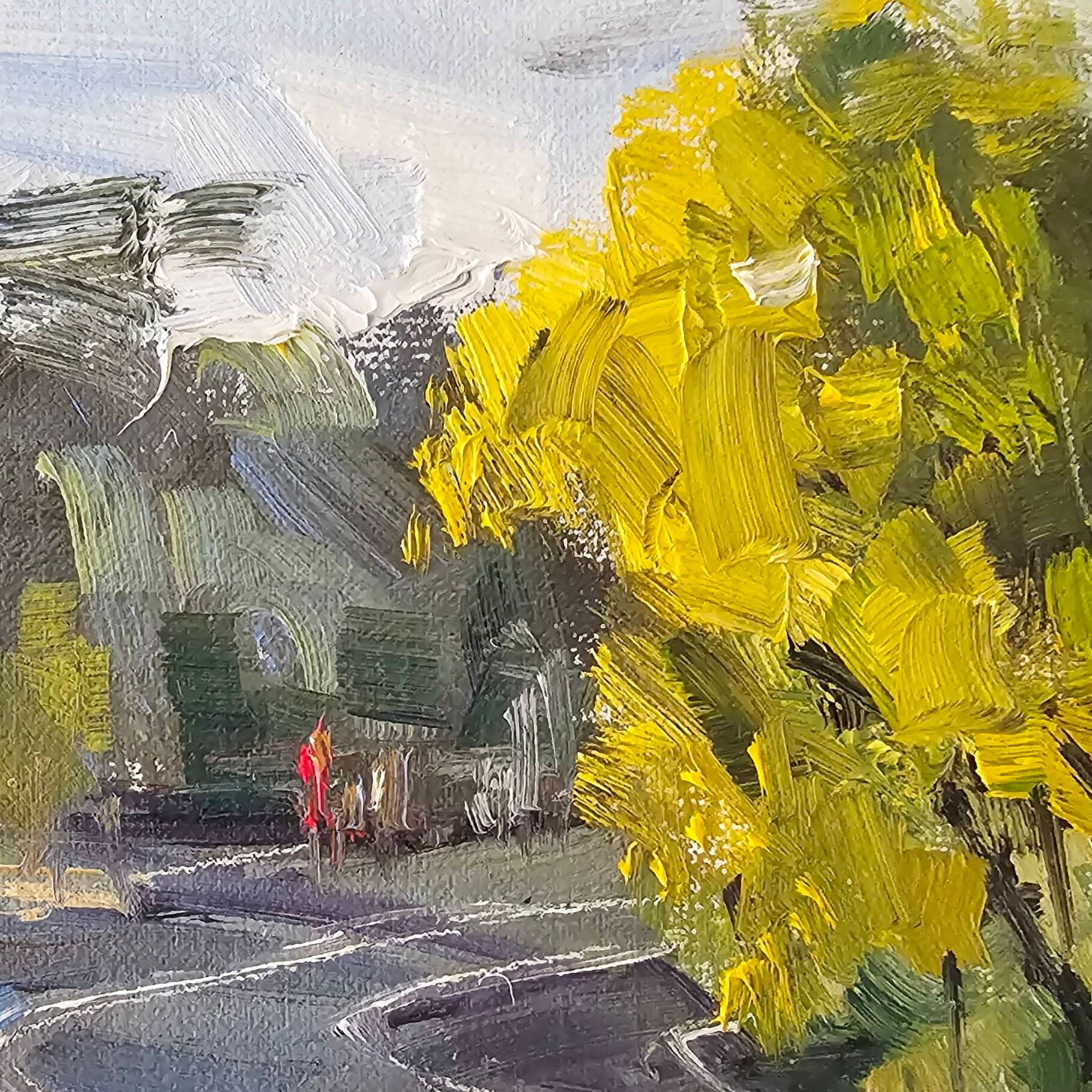 Warrandyte wattle (Edit)