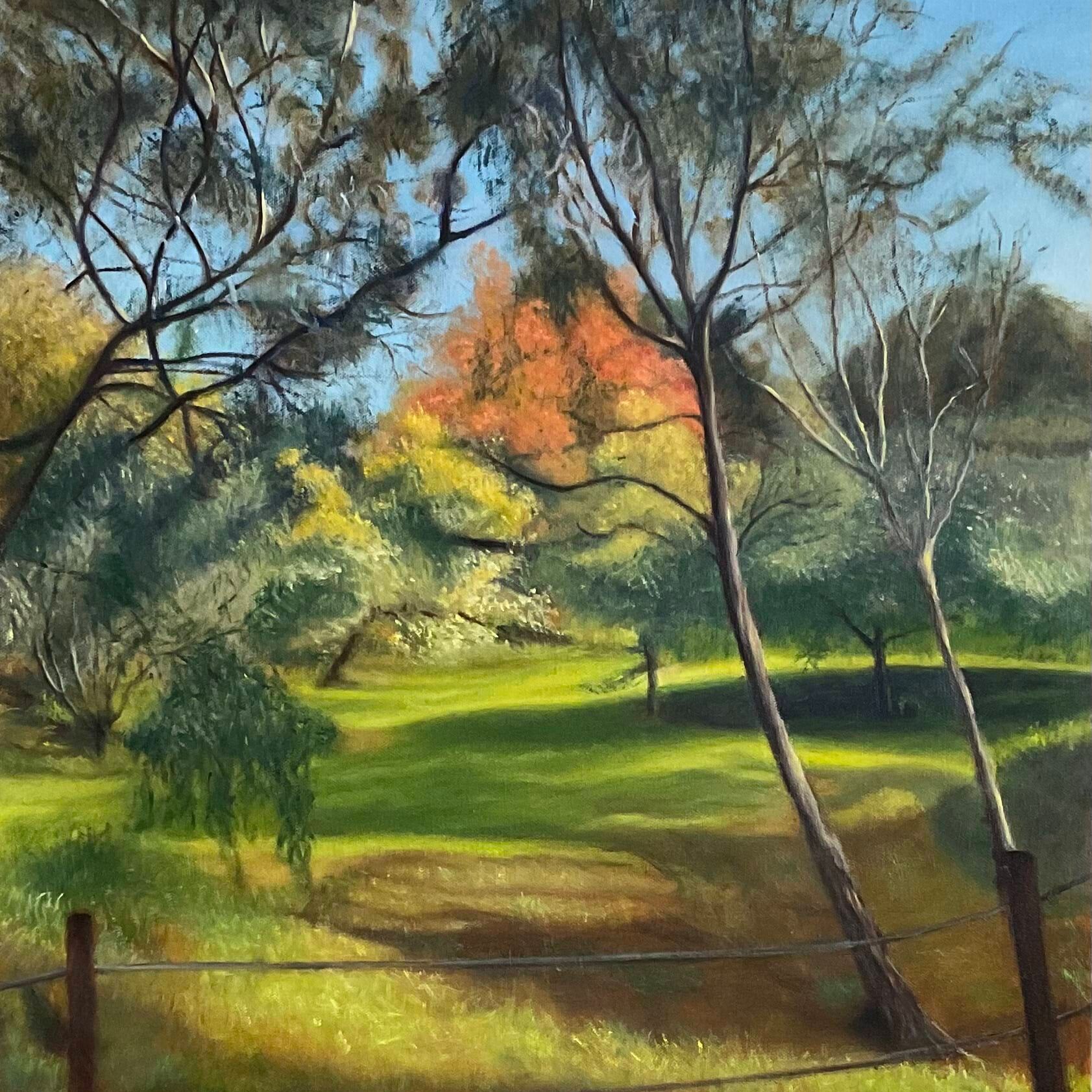 rees-leigh-darebin-parklands1.jpeg