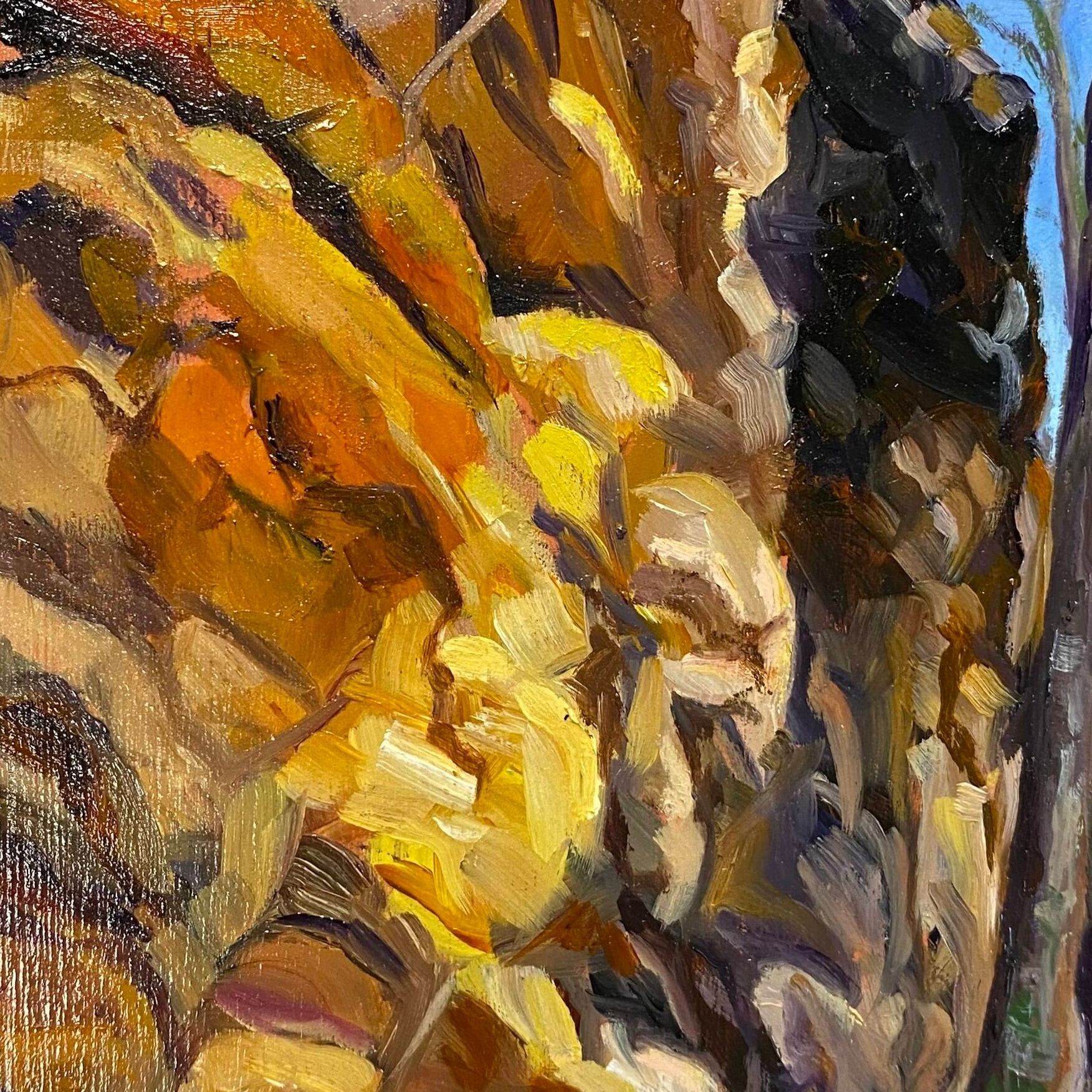 Colours of Wilpena (Edit) (Edit)