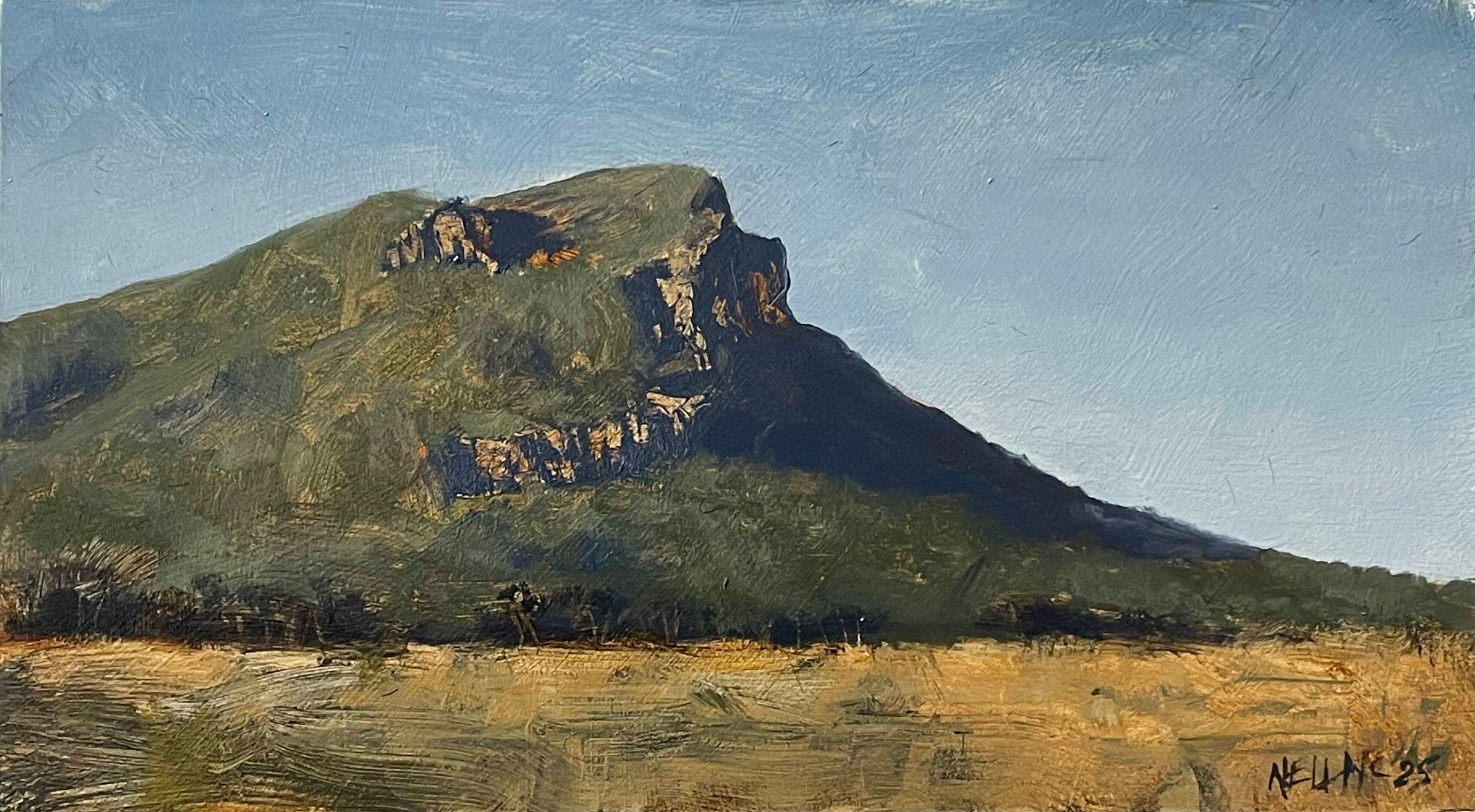 NeilMcIrvineTheGrampians1.jpeg