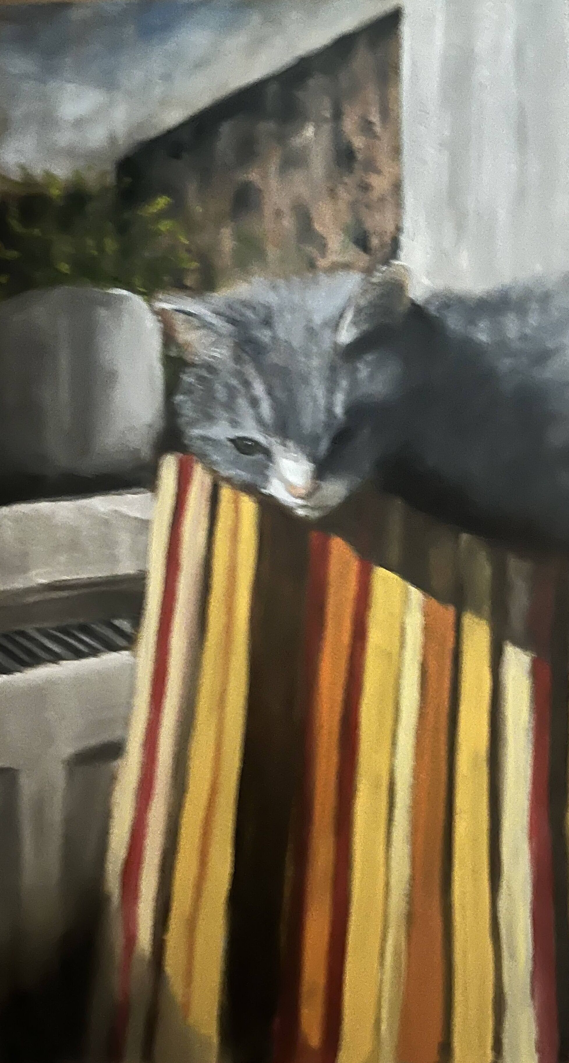 Perfect spot (Edit)