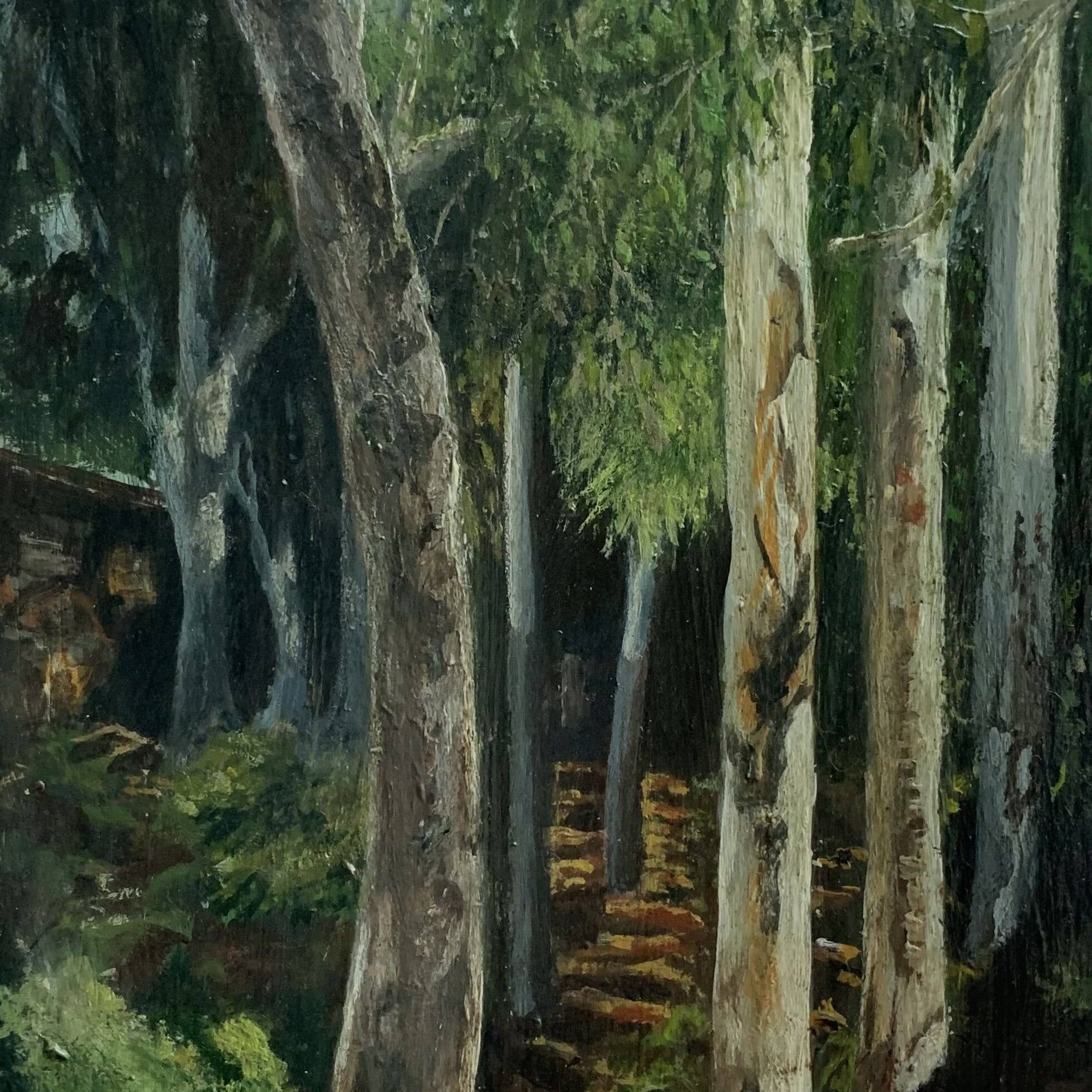 Shadow Grove.JPG